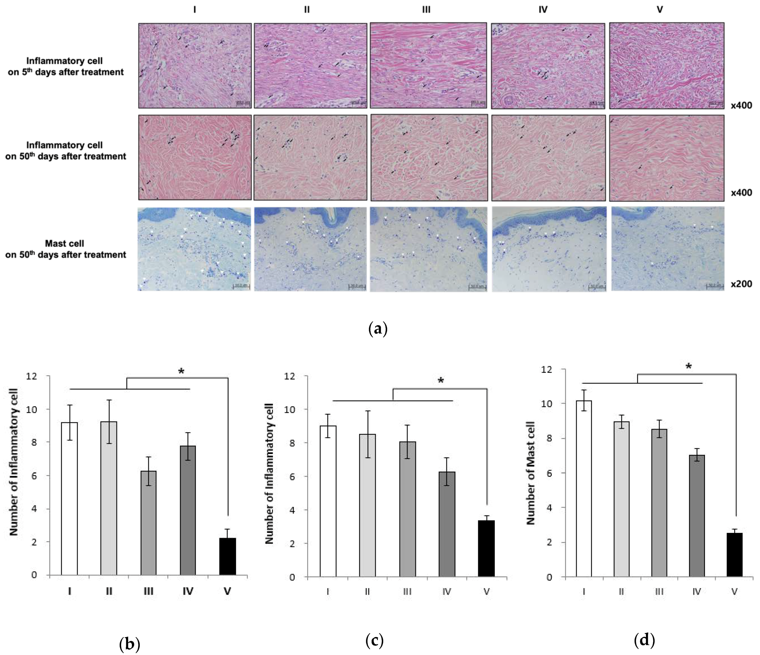 Ijms 21 02242 g006 Ijms 21 02242 g006