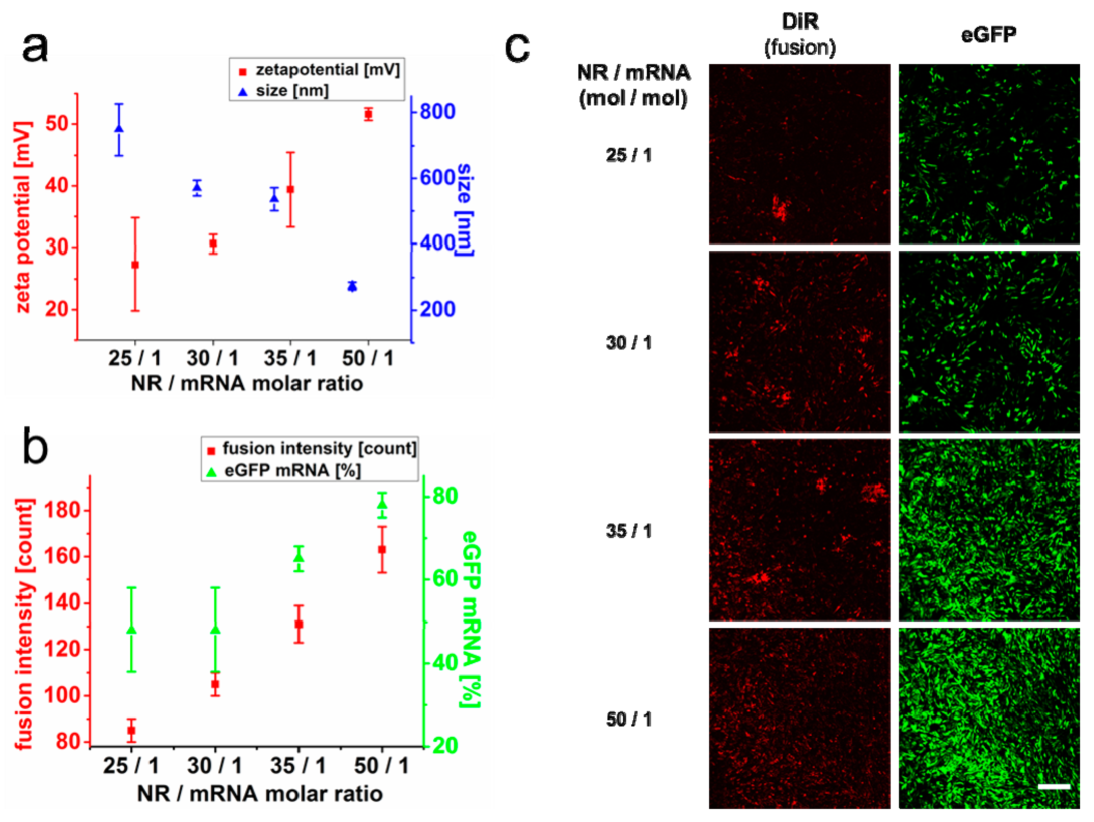Ijms 21 02244 g003 Ijms 21 02244 g003