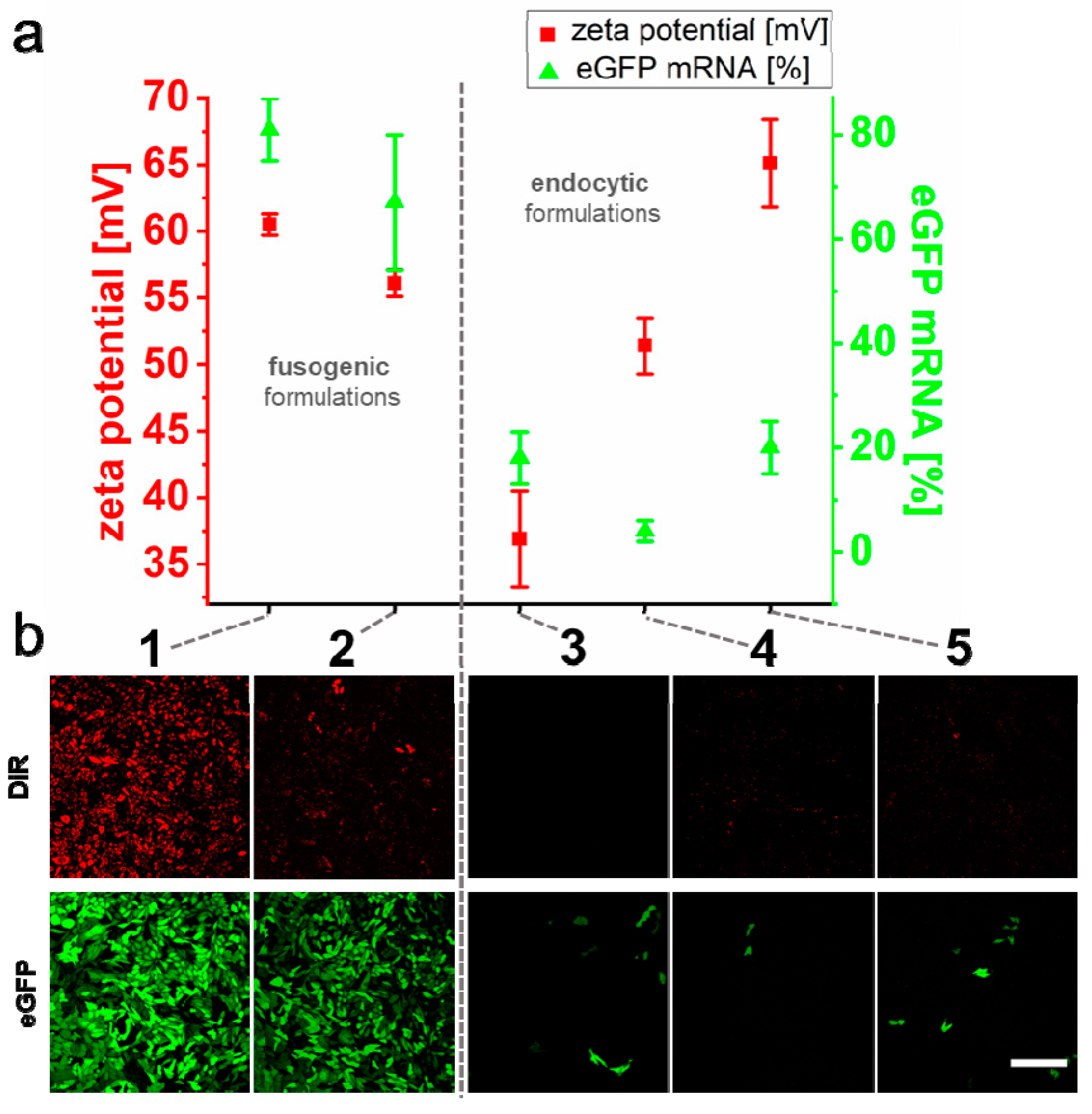 Ijms 21 02244 g004 Ijms 21 02244 g004