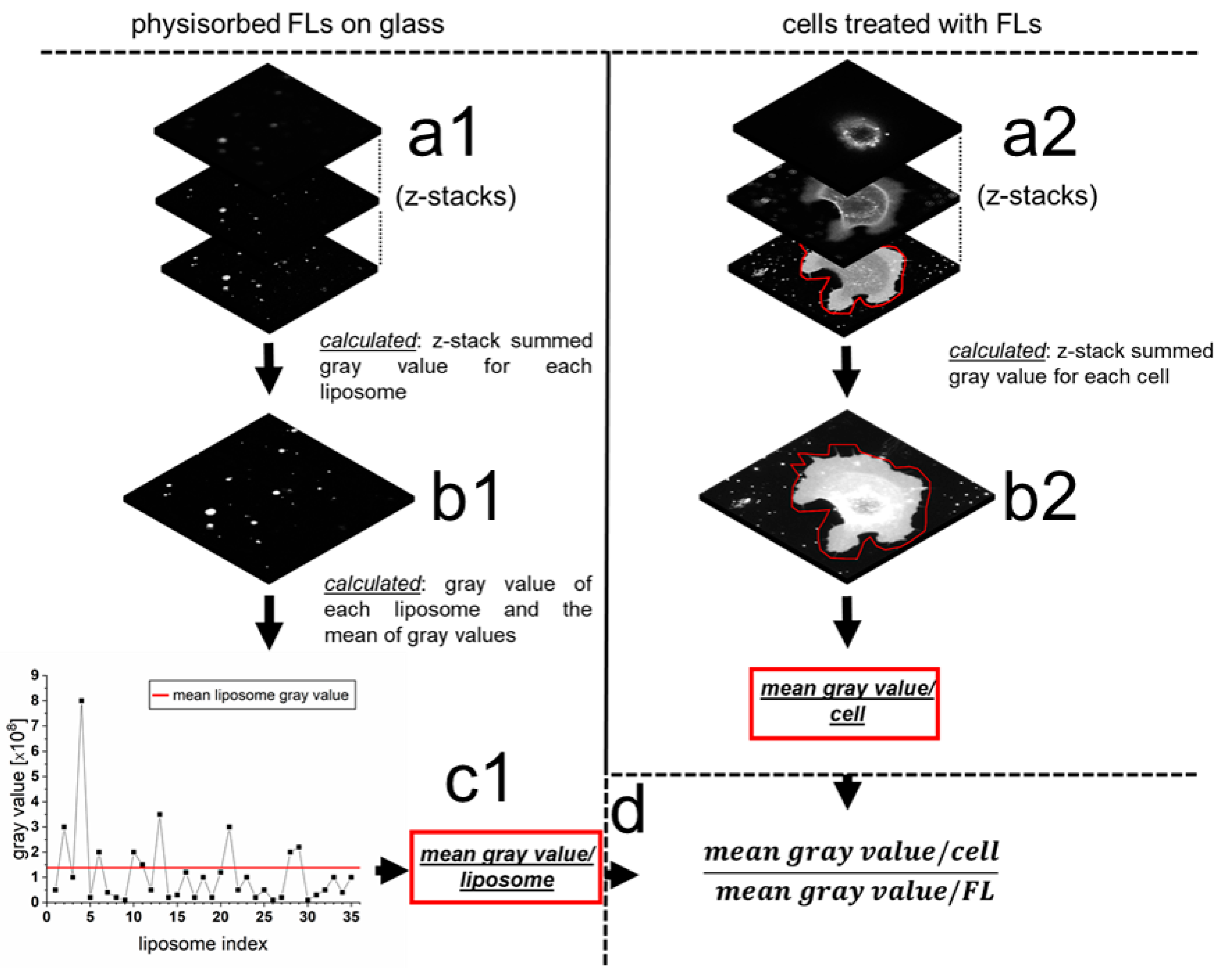 Ijms 21 02244 g005 Ijms 21 02244 g005