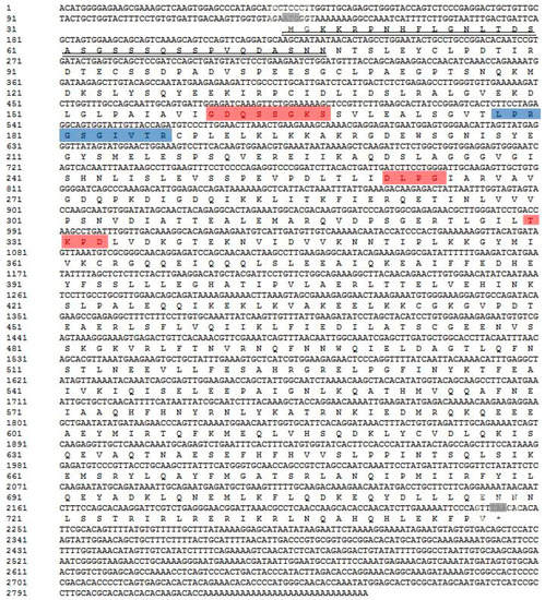 Characterization, Expression Pattern and Antiviral