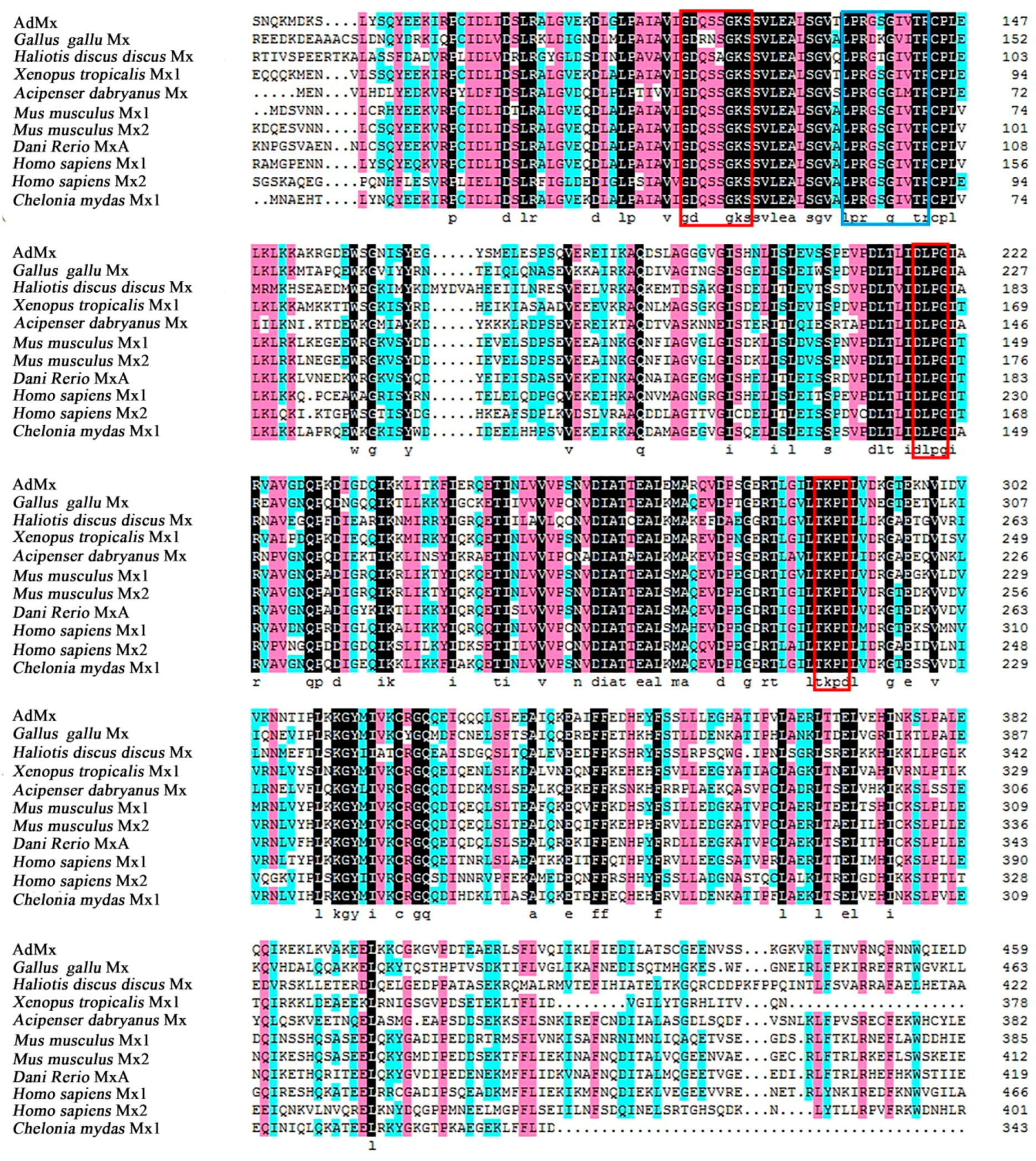 Ijms 21 02246 g002 Ijms 21 02246 g002