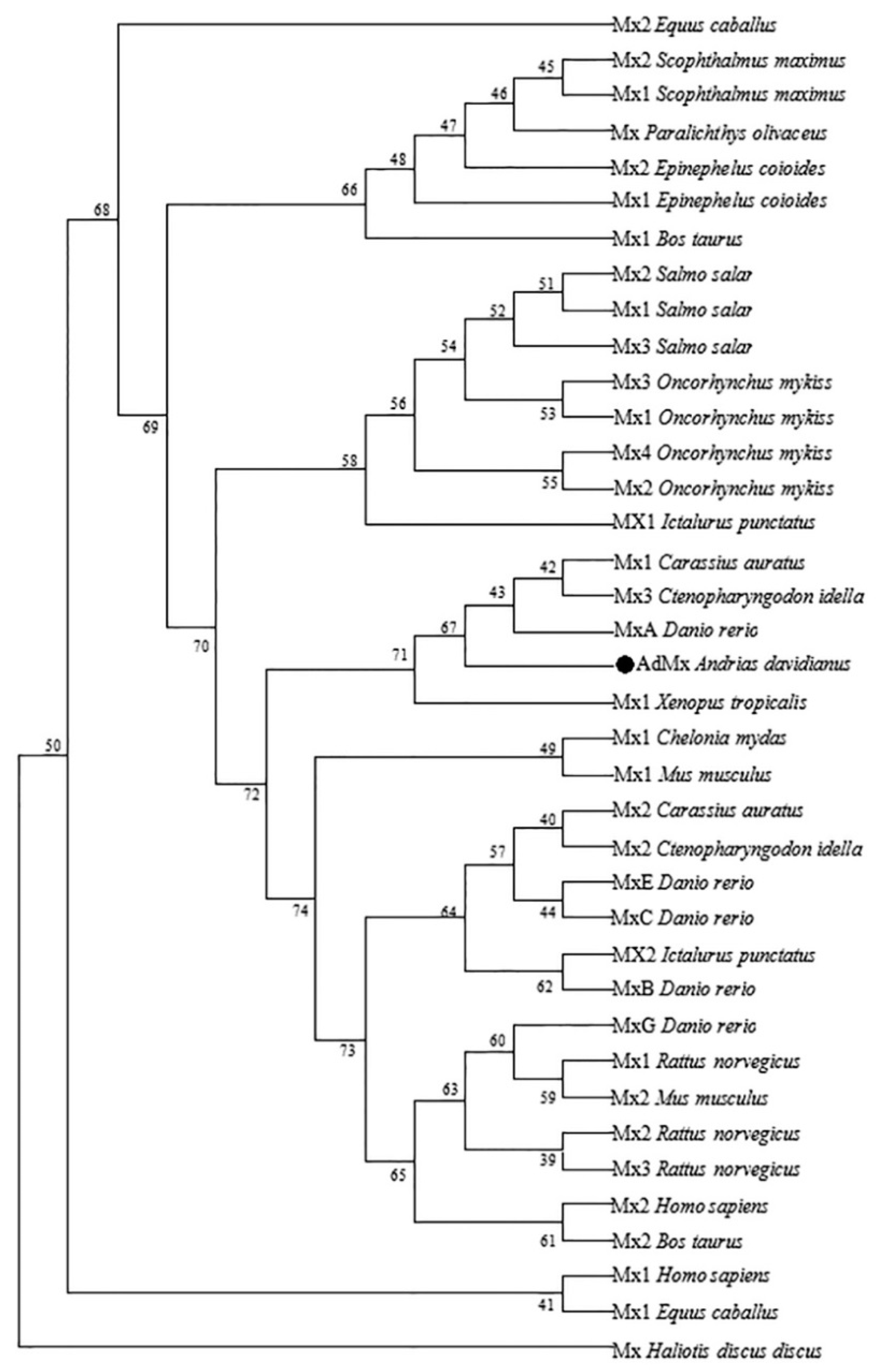 Ijms 21 02246 g003 Ijms 21 02246 g003
