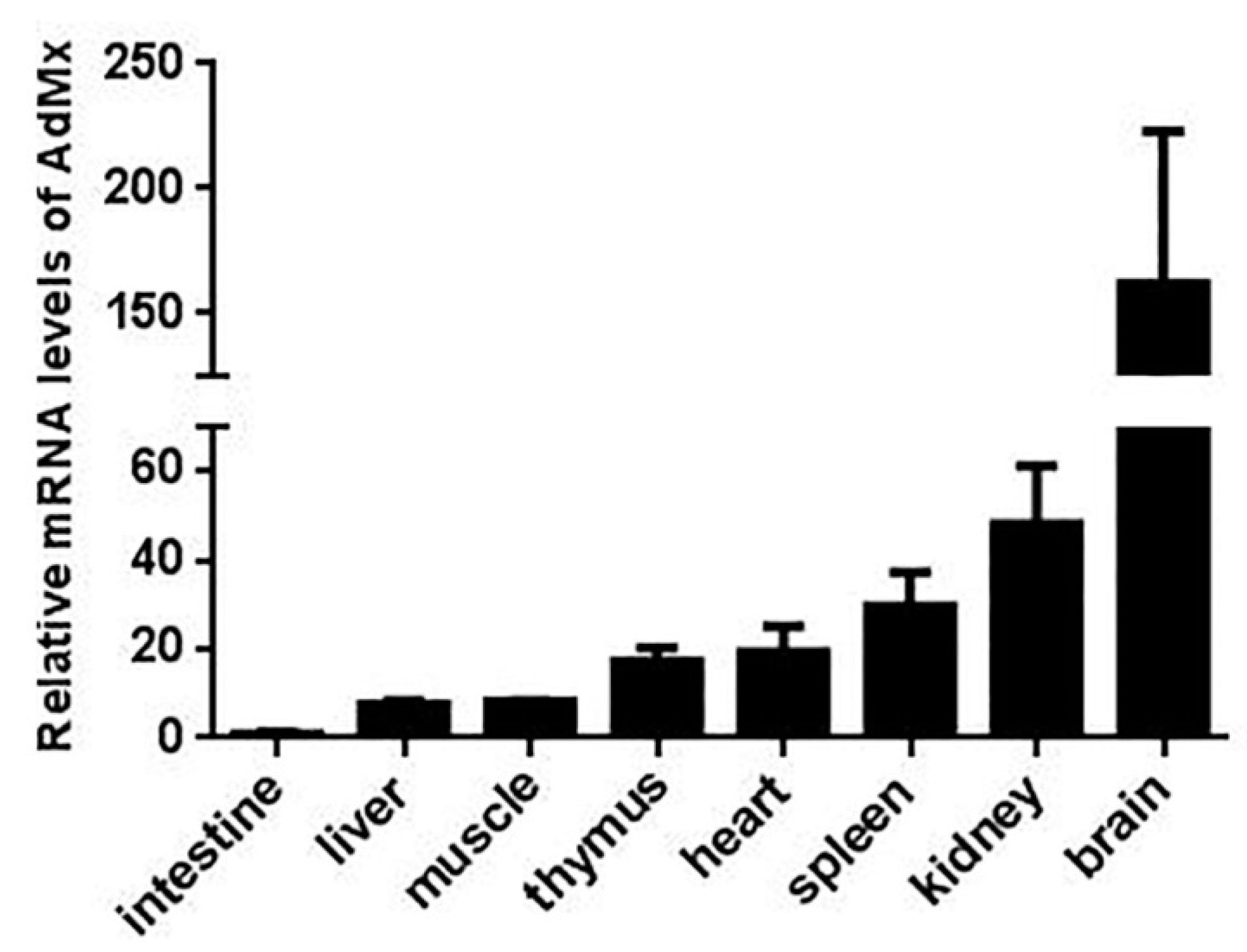 Ijms 21 02246 g004 Ijms 21 02246 g004