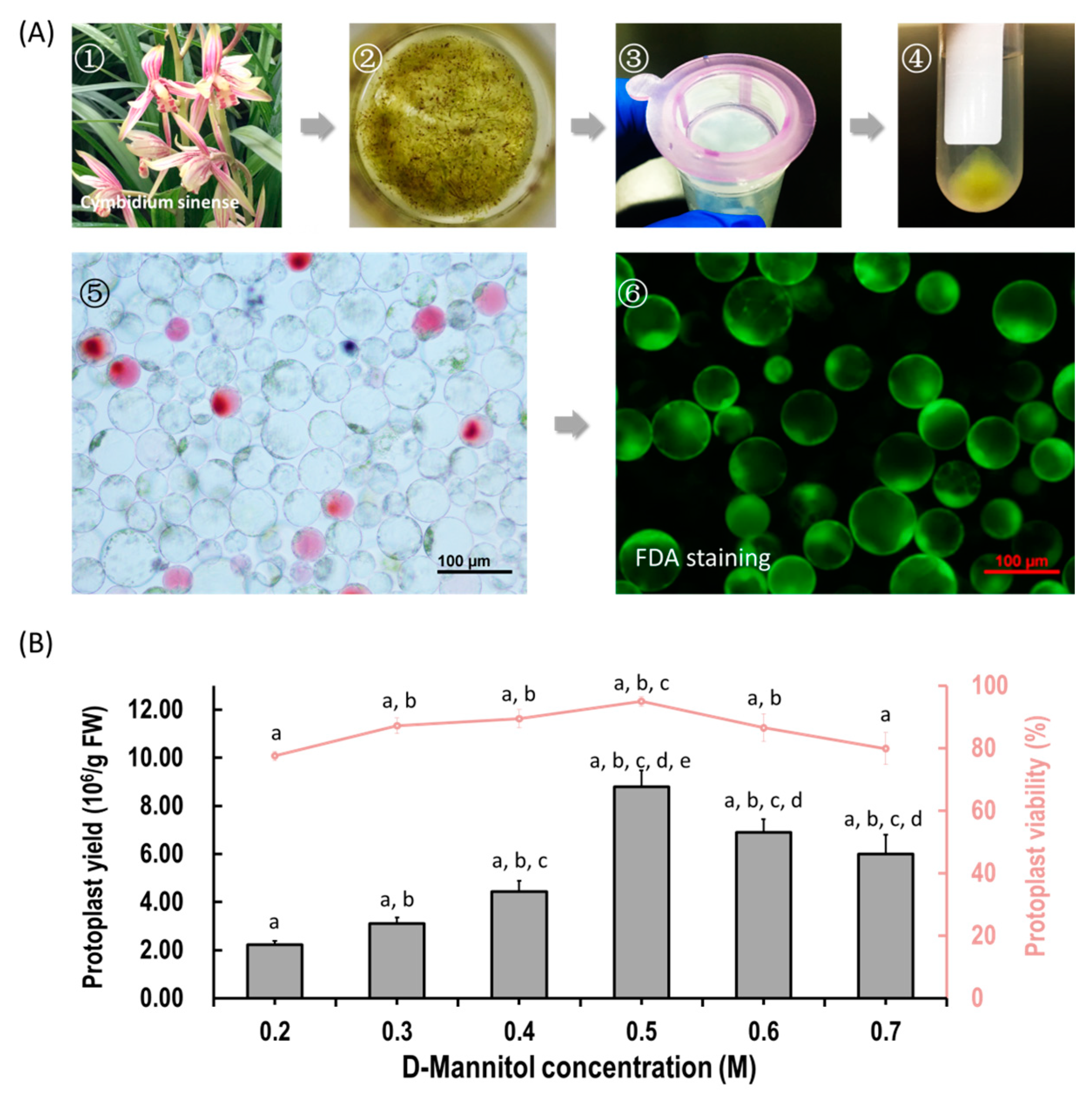 Ijms 21 02264 g001 Ijms 21 02264 g001