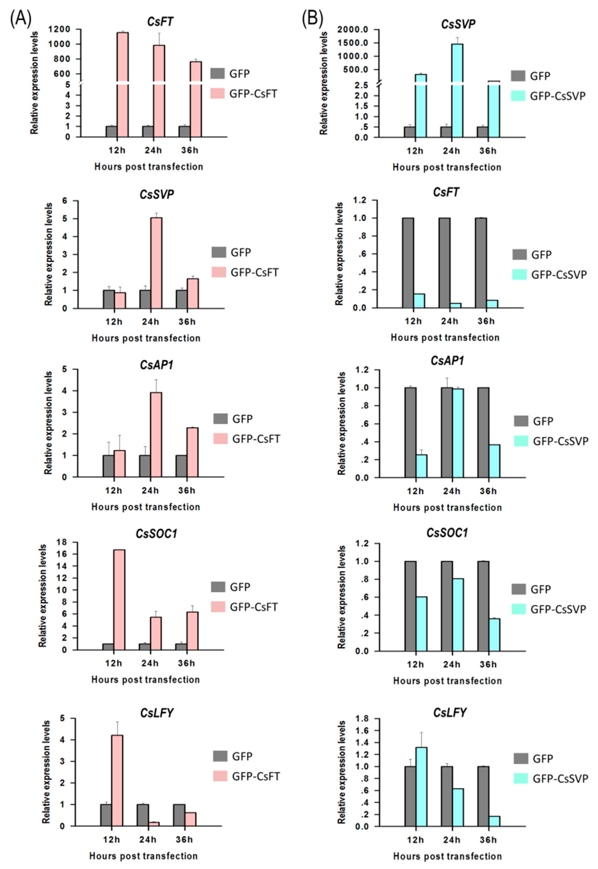Ijms 21 02264 g005 Ijms 21 02264 g005