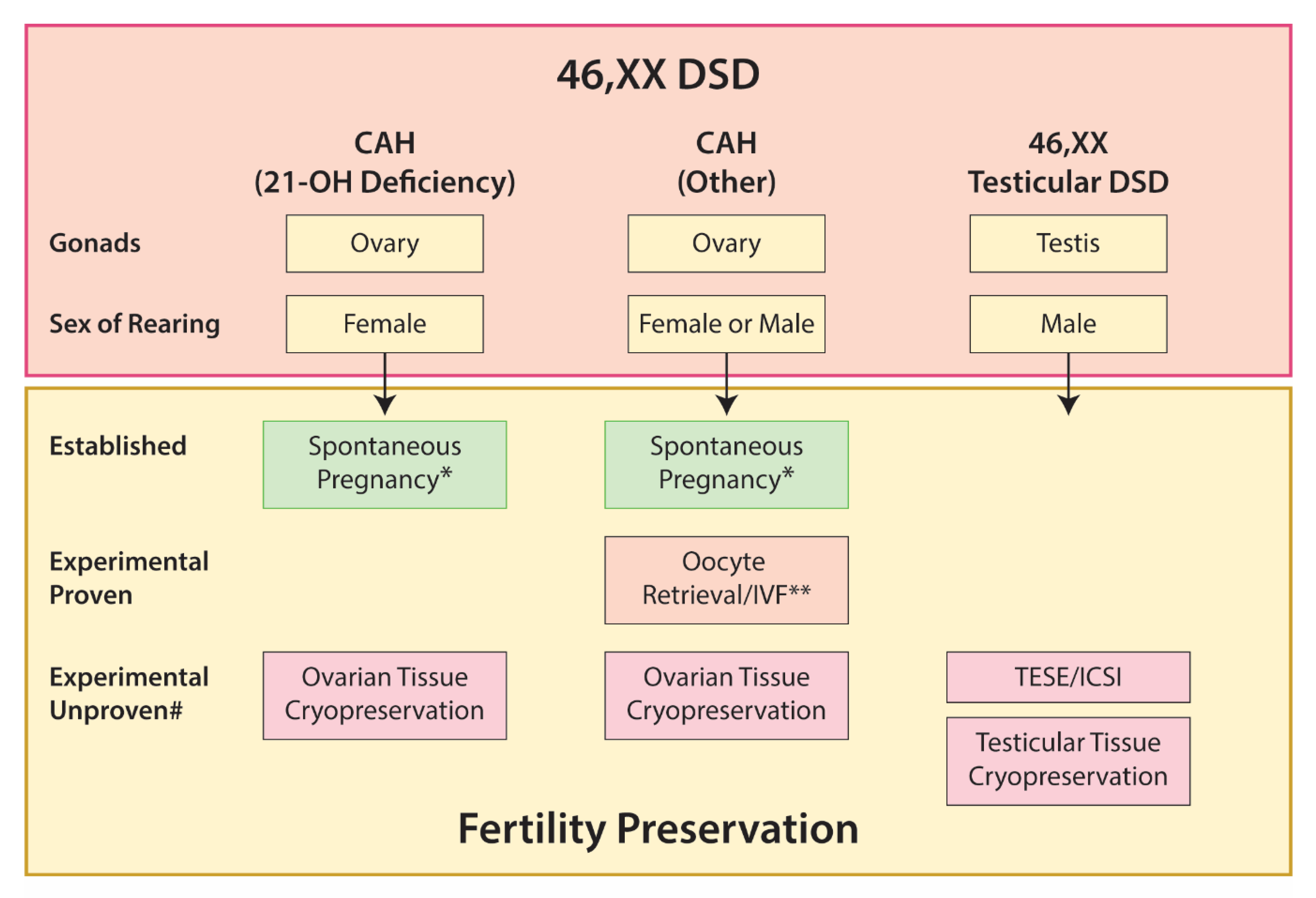 Ijms Free Full Text Disorders Of Sex Development—novel Regulators 