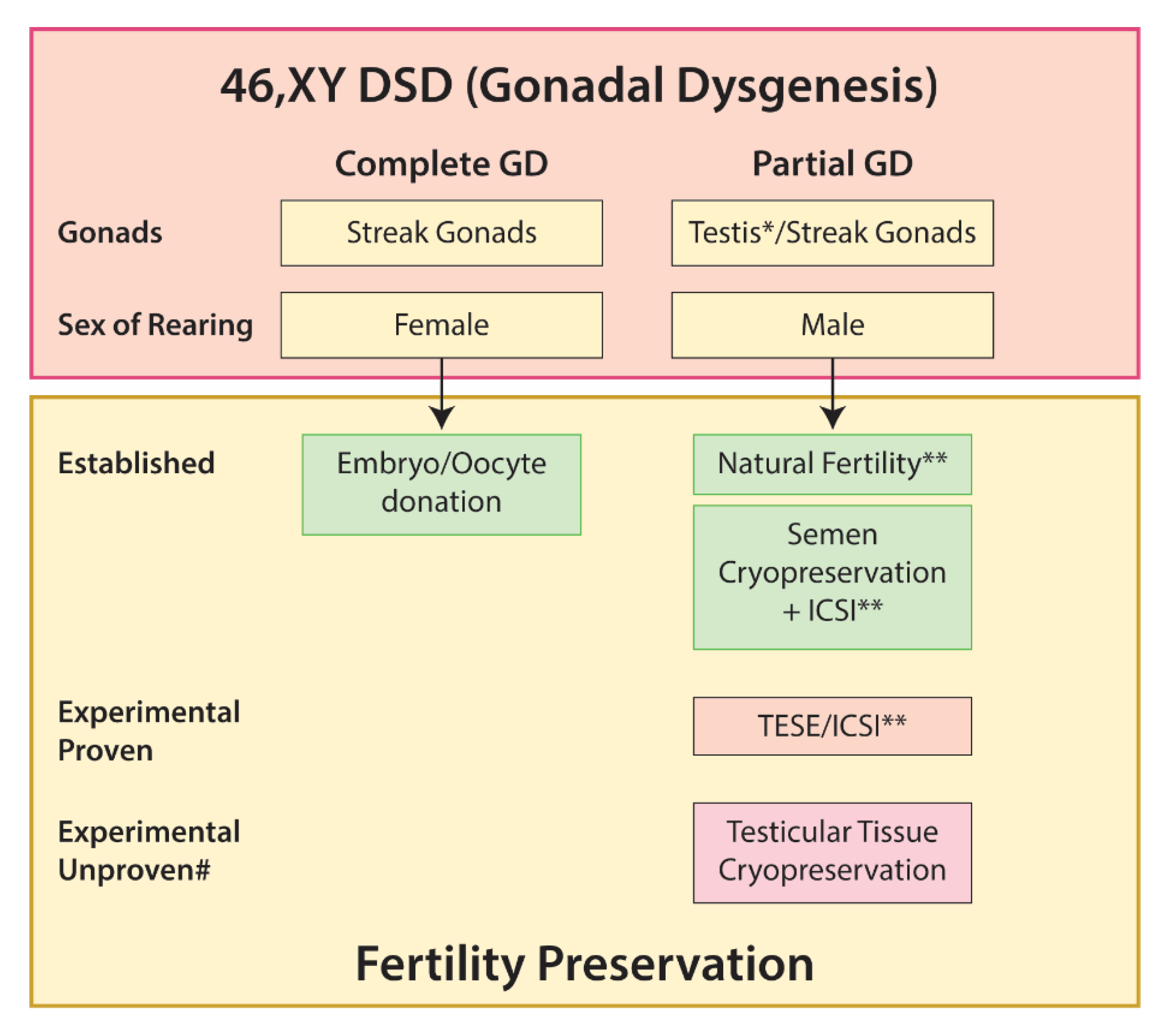 Ijms Free Full Text Disorders Of Sex Development—novel Regulators