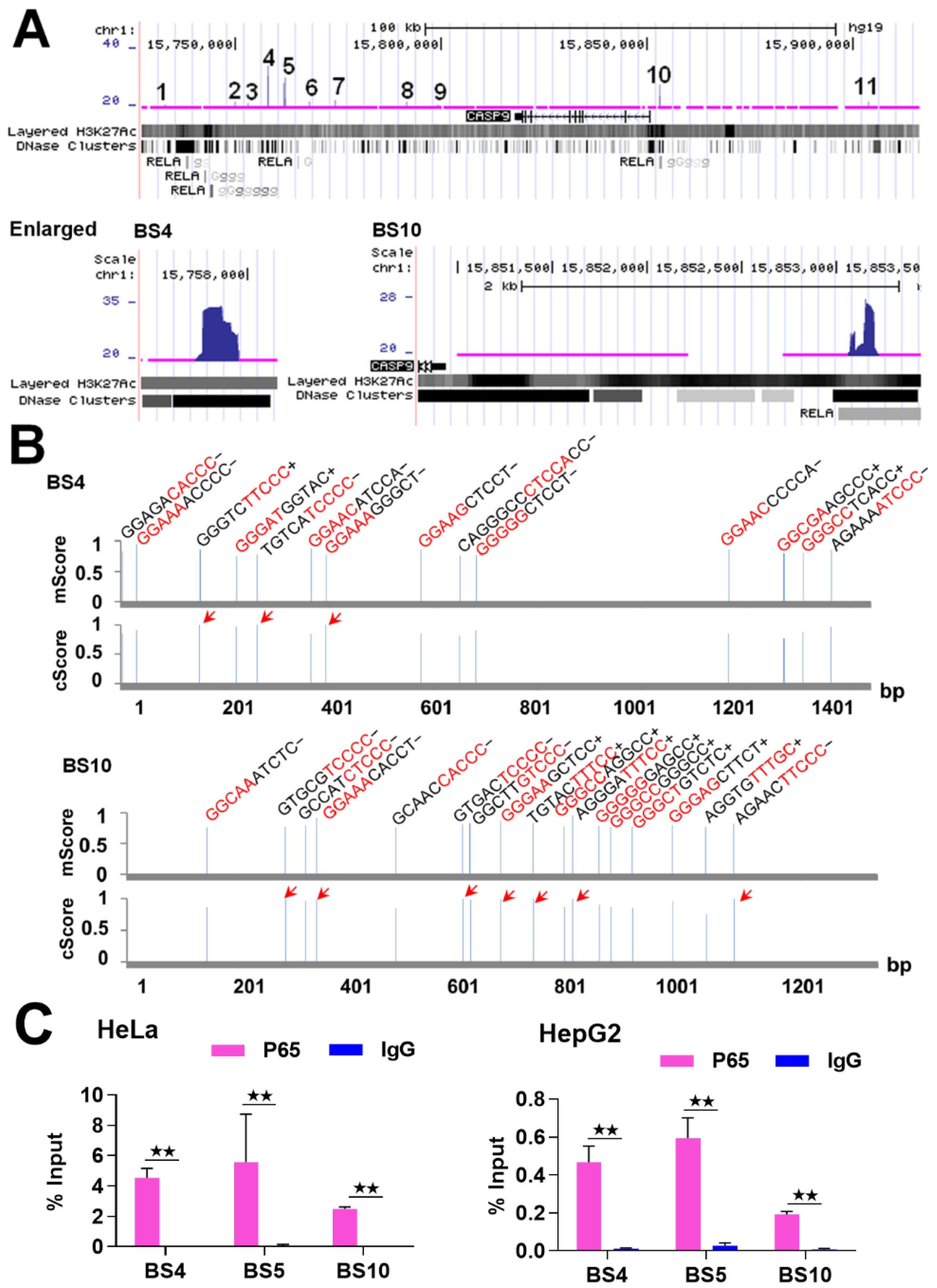 Ijms 21 02290 g001 Ijms 21 02290 g001