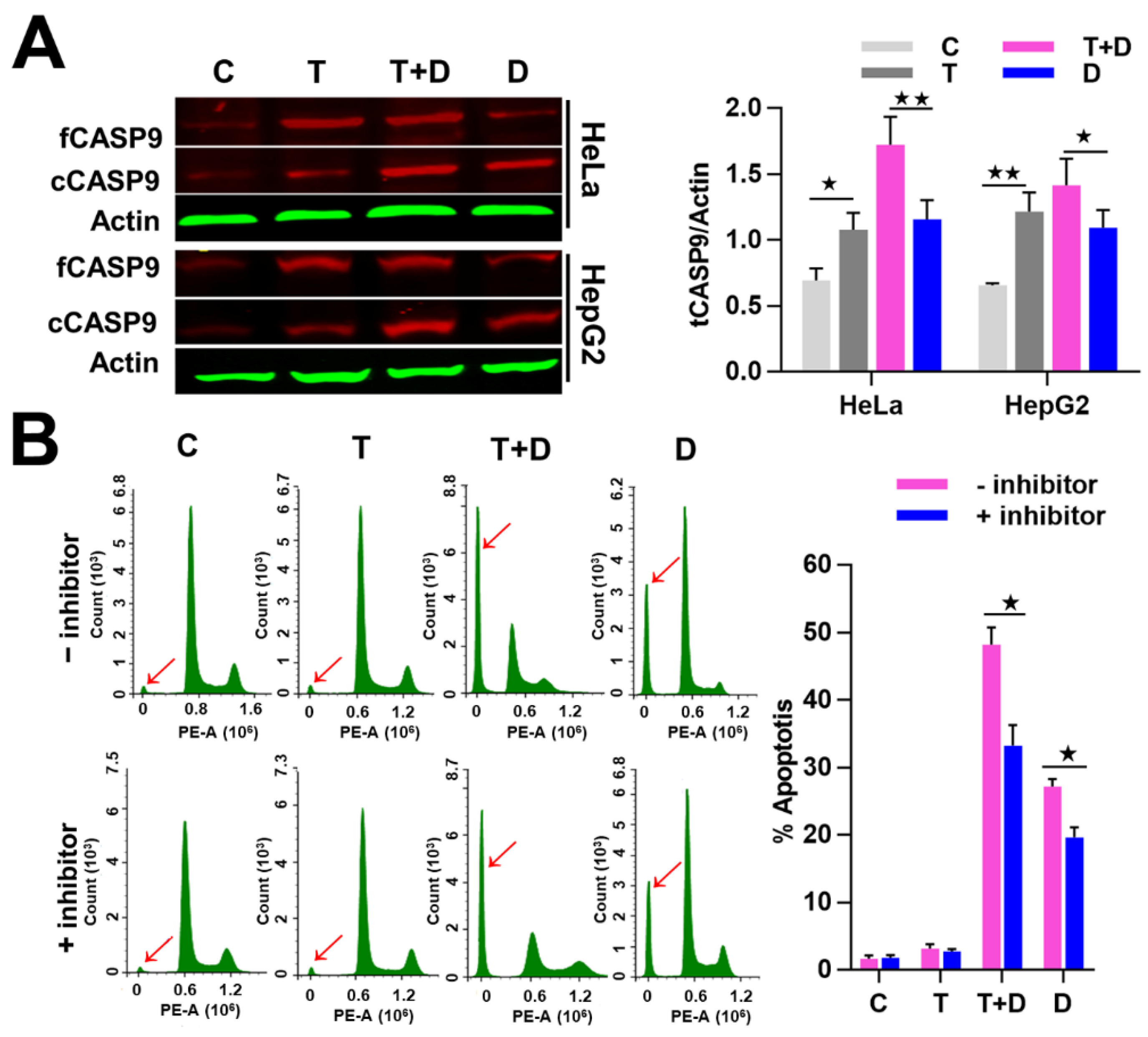 Ijms 21 02290 g009 Ijms 21 02290 g009