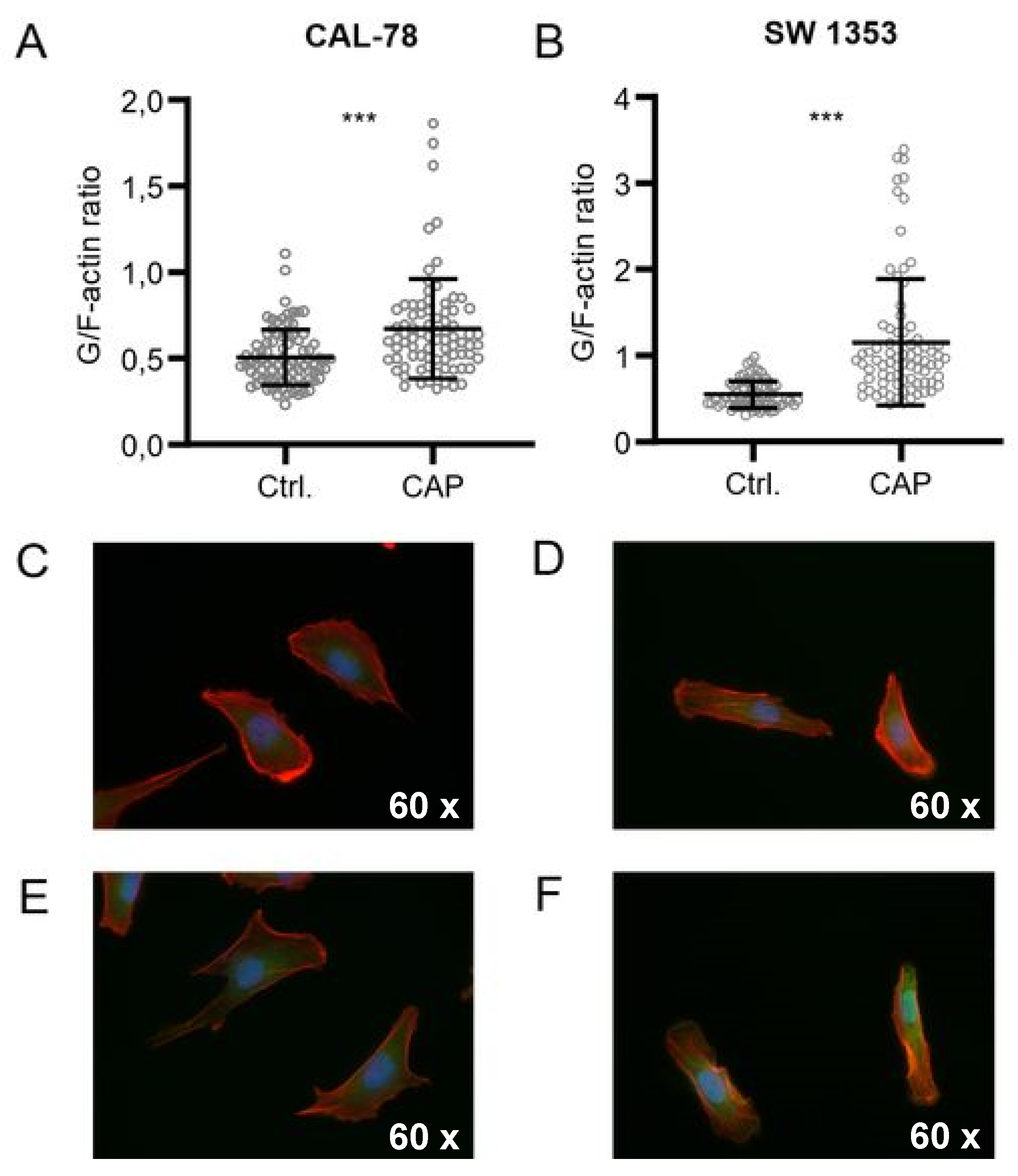 Ijms 21 02291 g005 Ijms 21 02291 g005