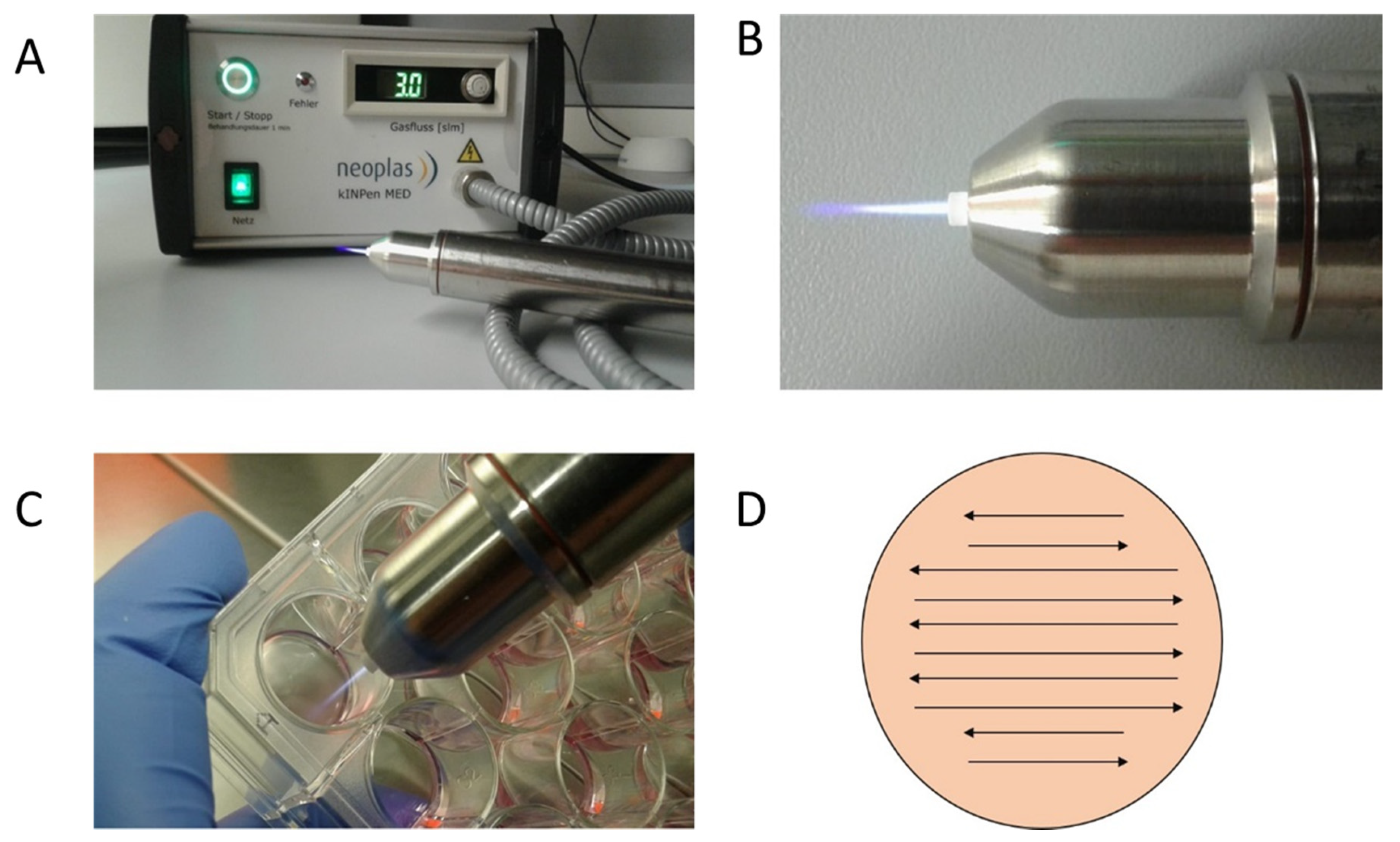 Ijms 21 02291 g006 Ijms 21 02291 g006