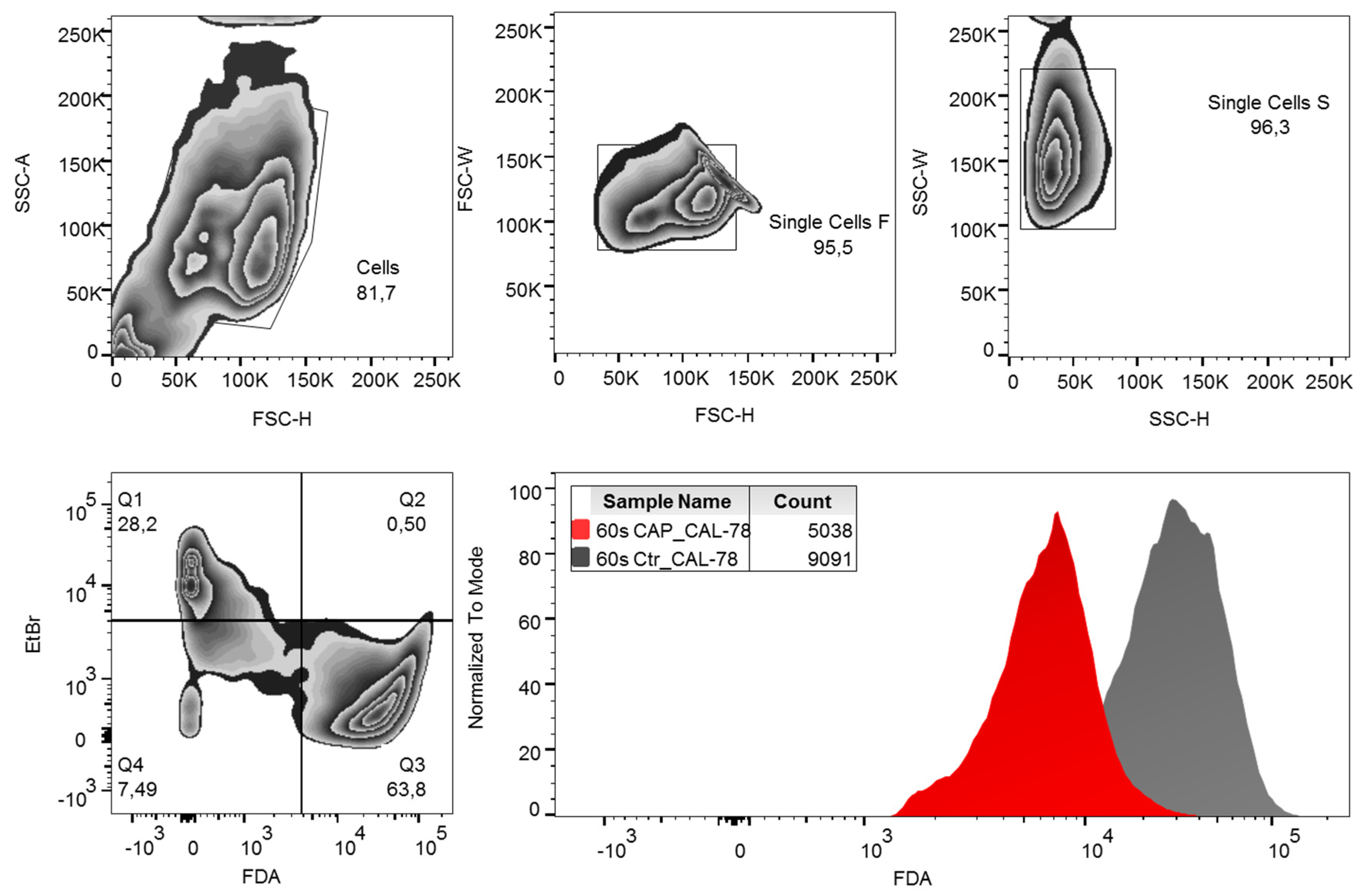 Ijms 21 02291 g007 Ijms 21 02291 g007
