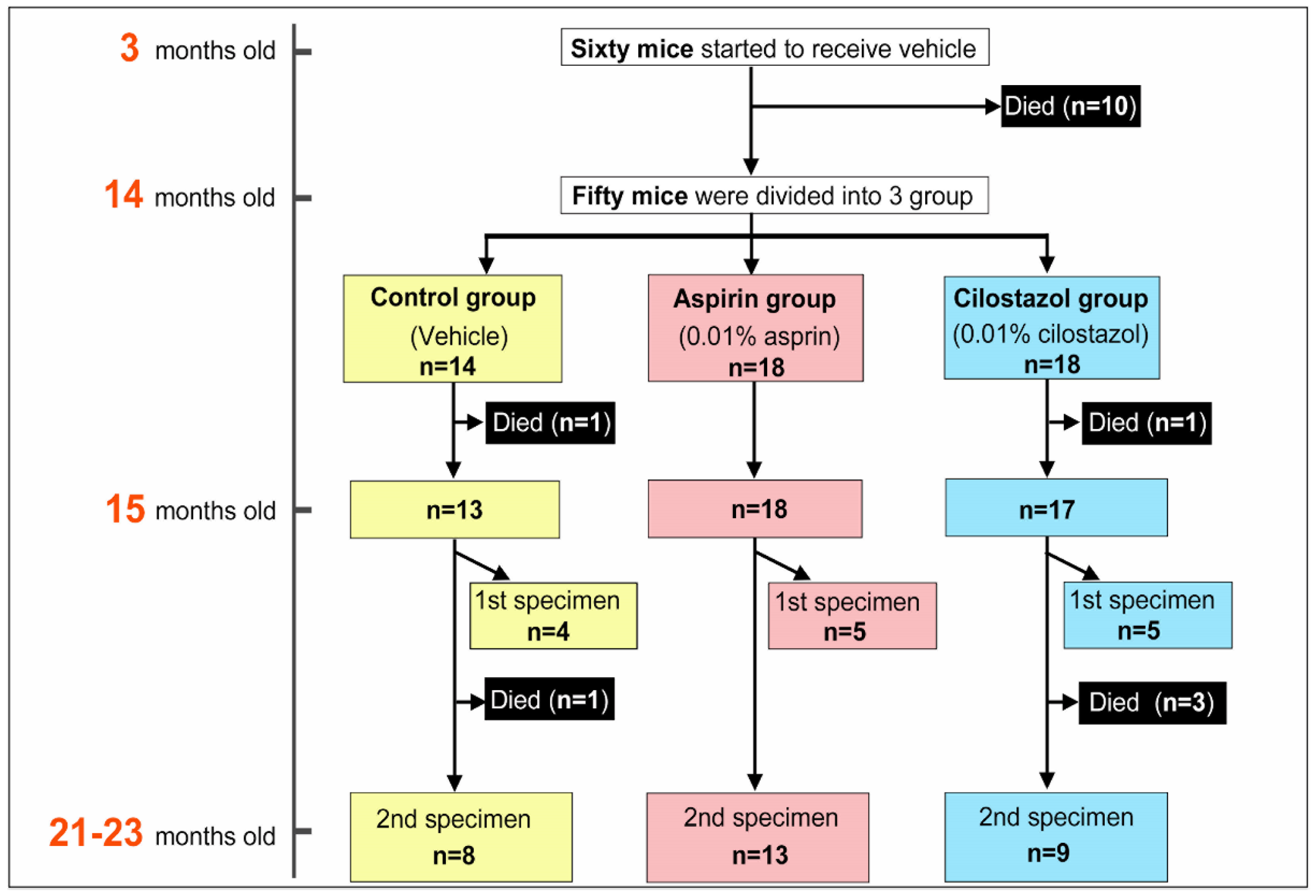 Ijms 21 02295 g001 Ijms 21 02295 g001