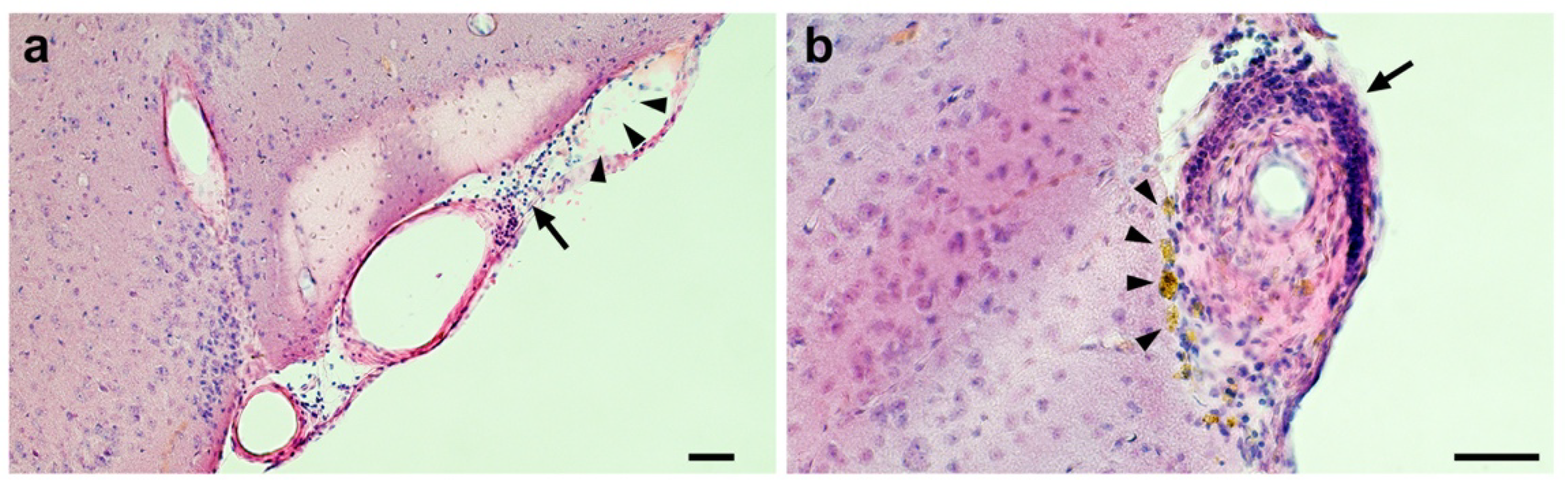 Ijms 21 02295 g0a2 Ijms 21 02295 g0a2