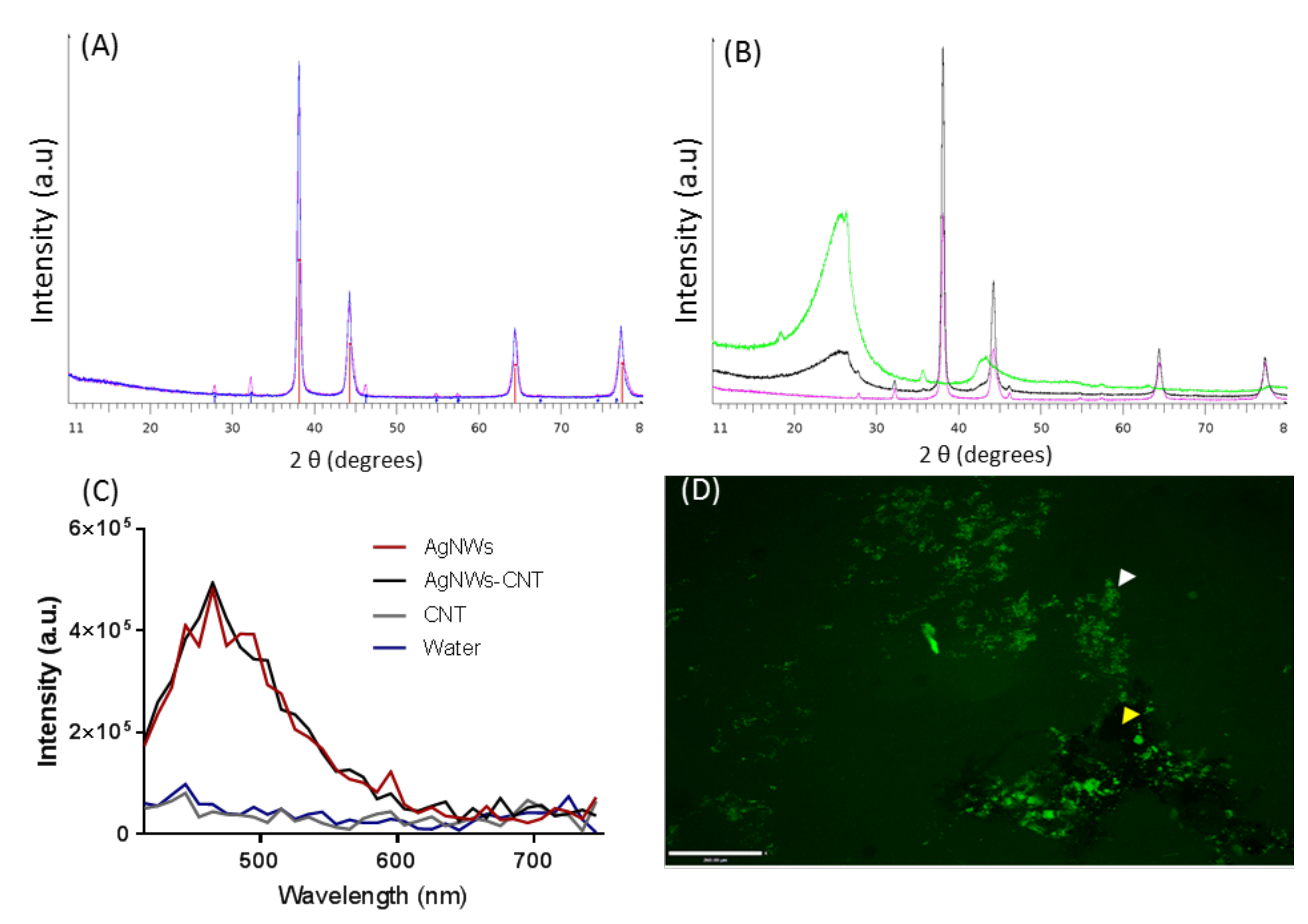 Ijms 21 02303 g002 Ijms 21 02303 g002