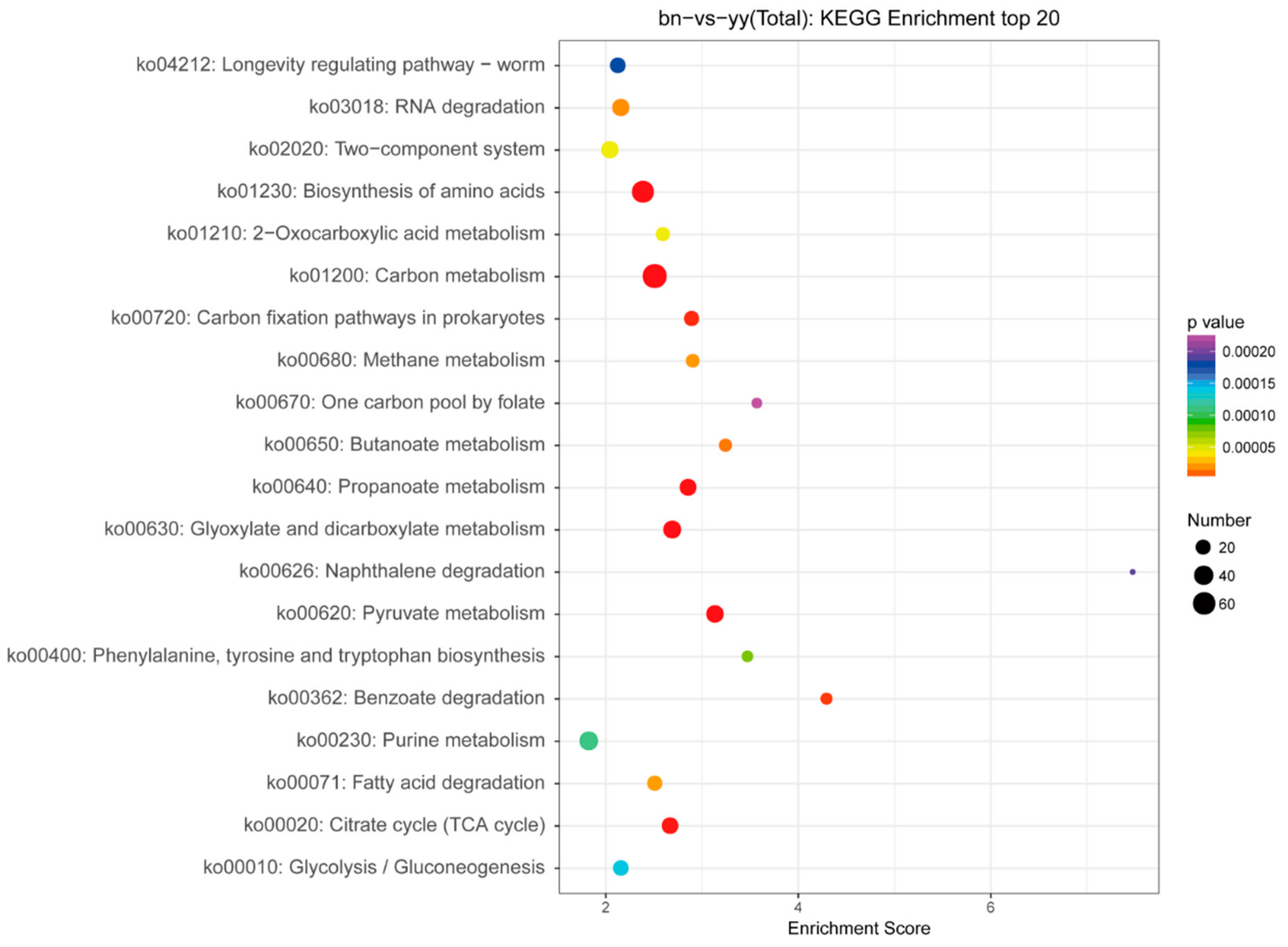 Ijms 21 02309 g007 Ijms 21 02309 g007