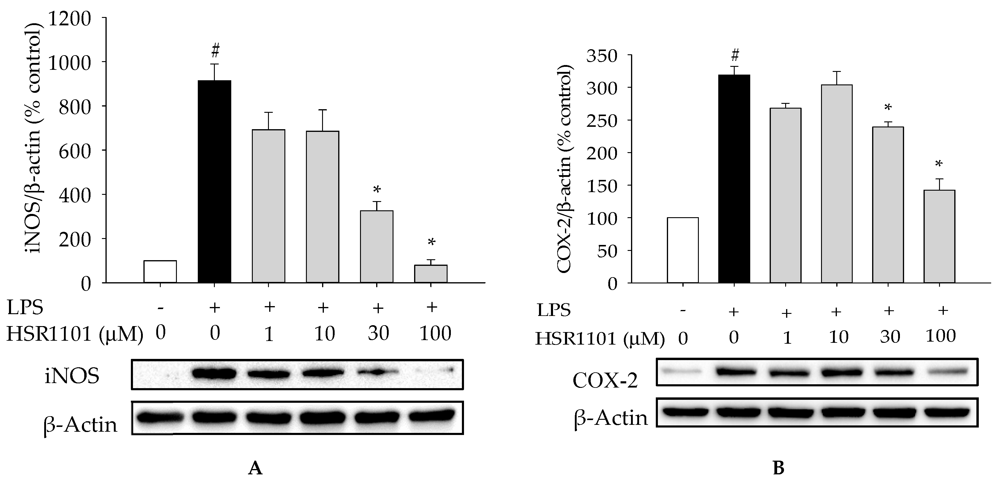 Ijms 21 02319 g004 Ijms 21 02319 g004