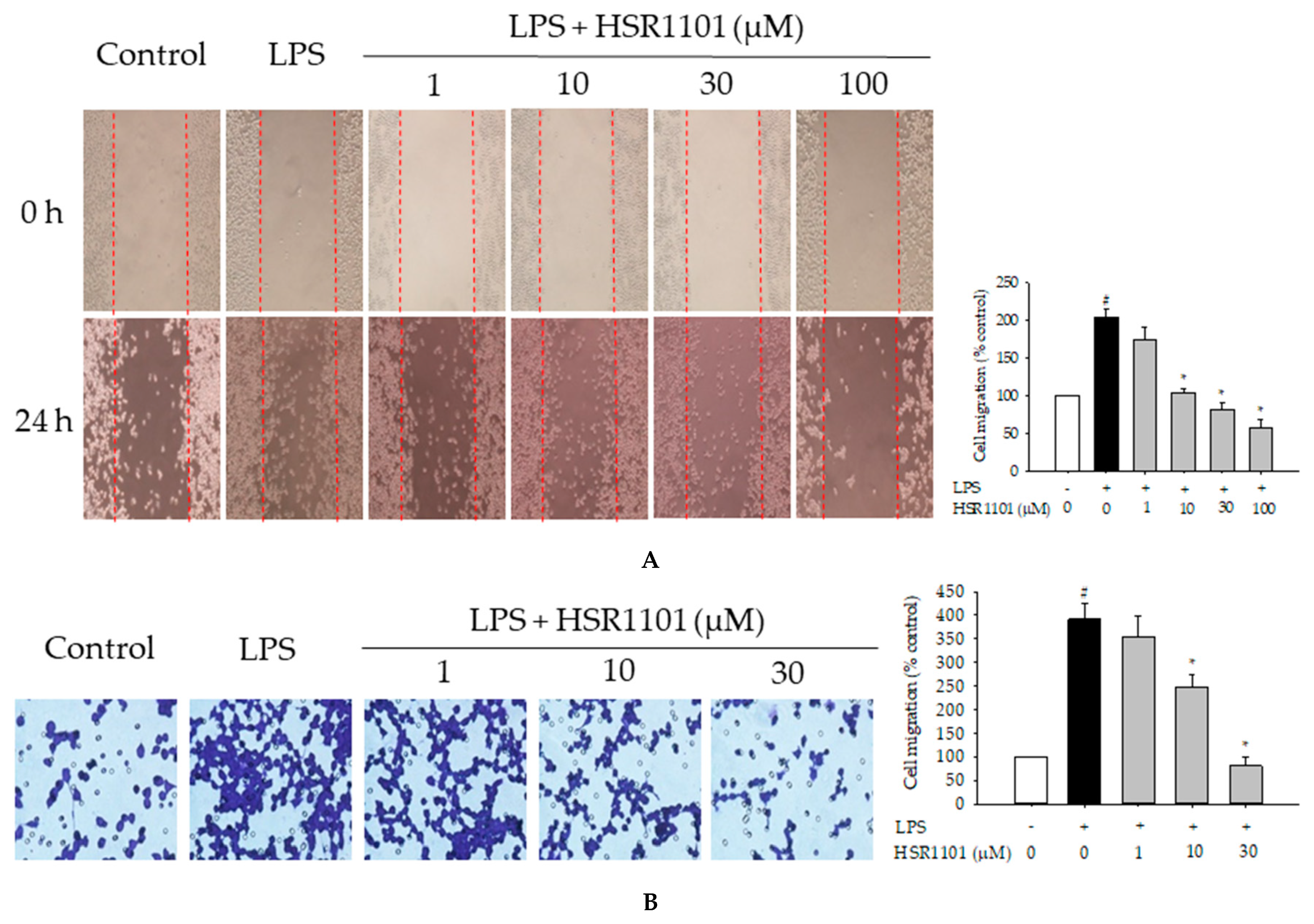 Ijms 21 02319 g006 Ijms 21 02319 g006