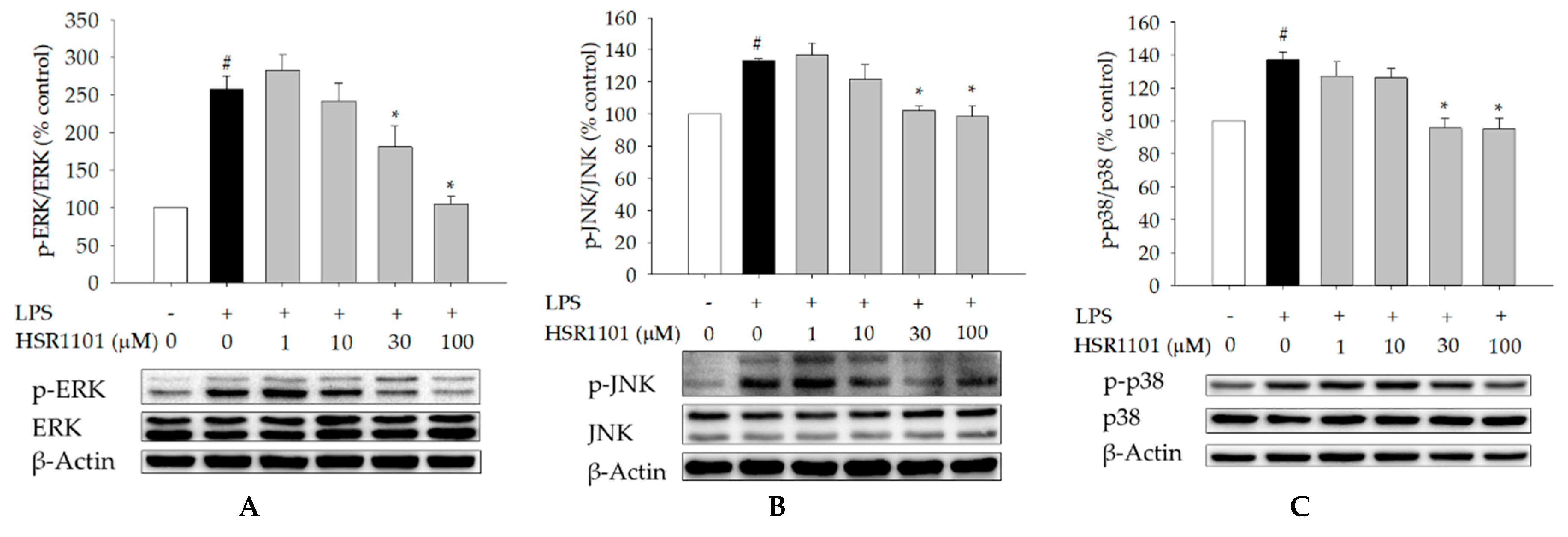 Ijms 21 02319 g007 Ijms 21 02319 g007
