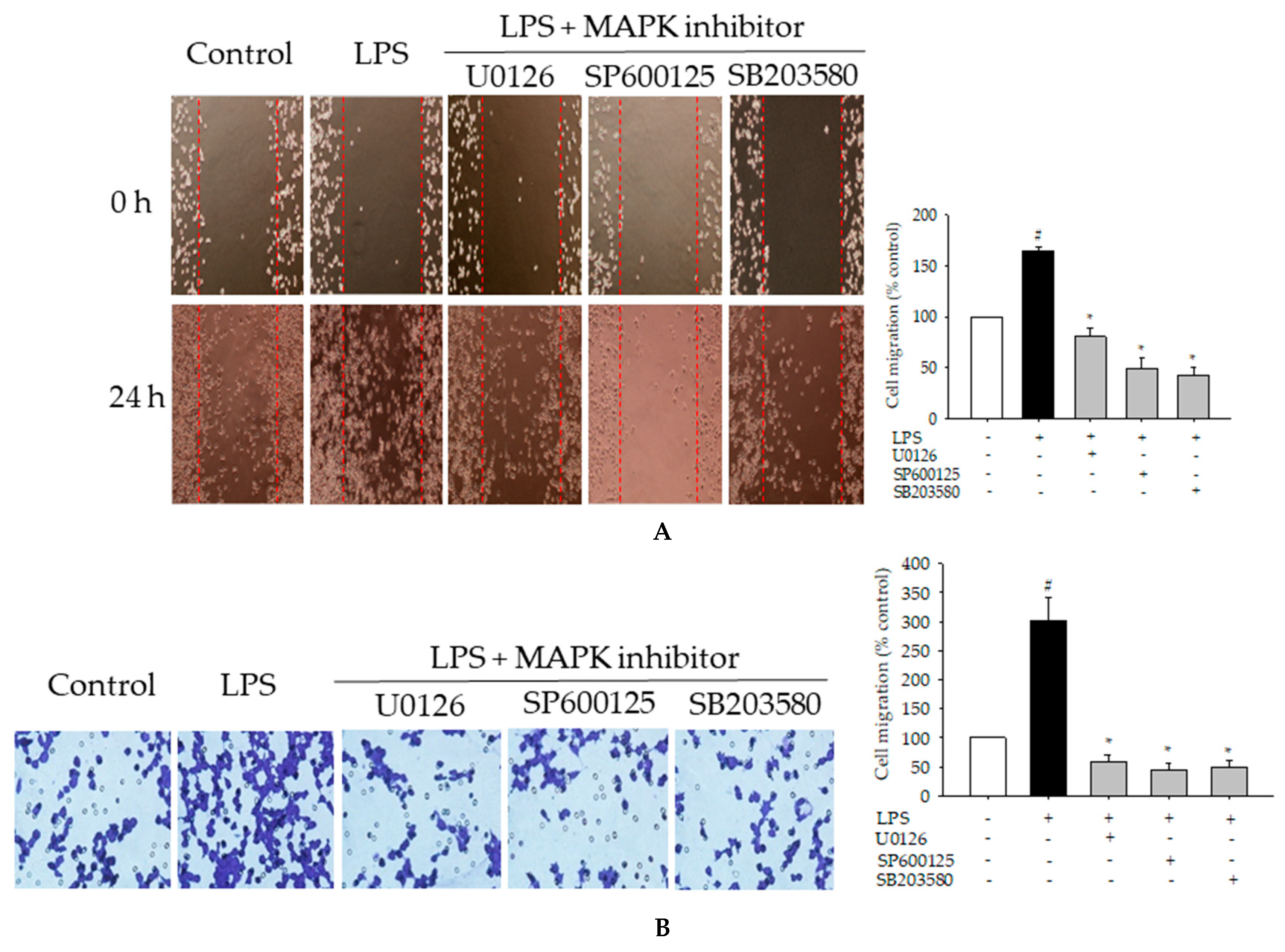 Ijms 21 02319 g008 Ijms 21 02319 g008