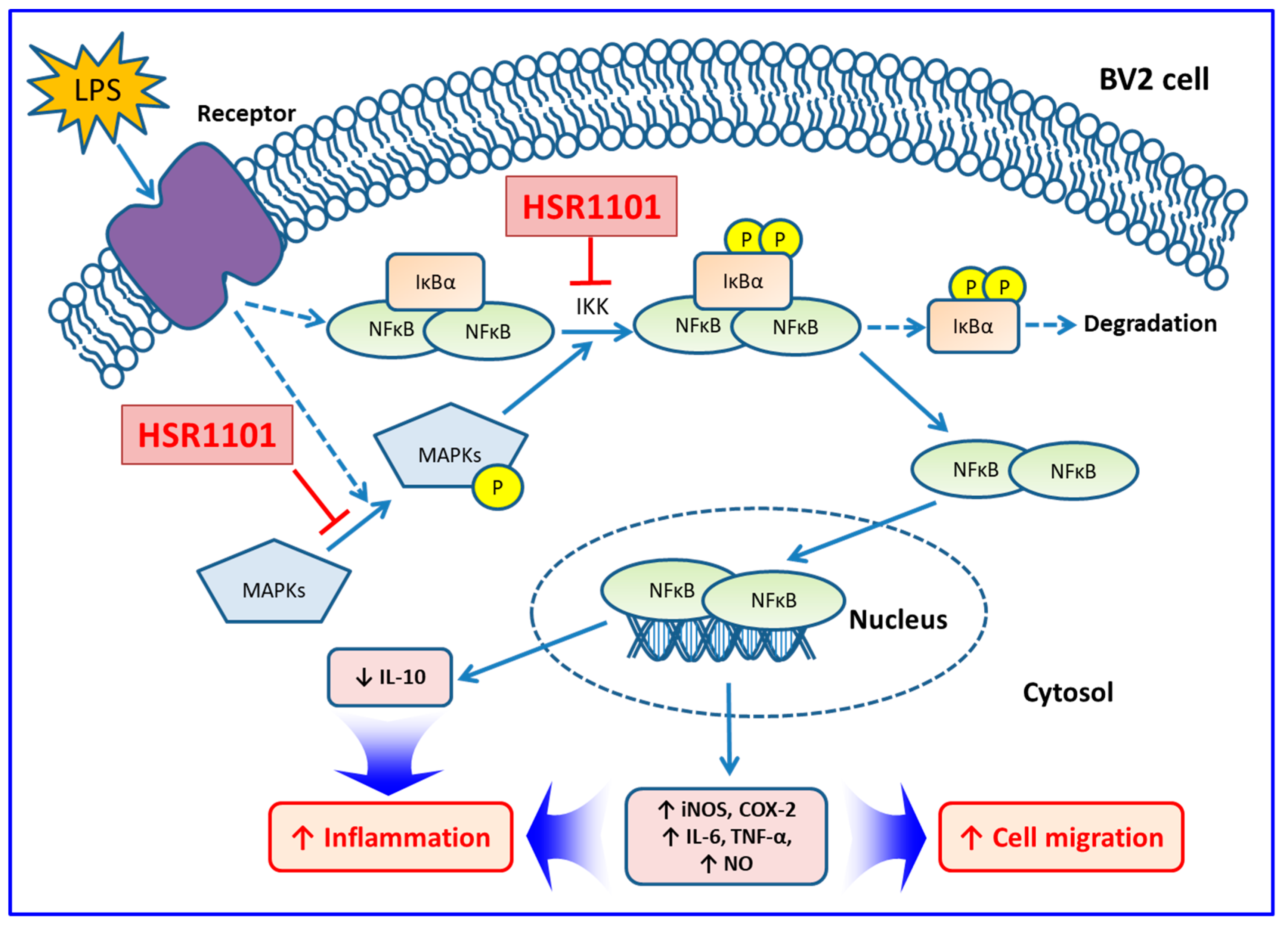 Ijms 21 02319 g009 Ijms 21 02319 g009
