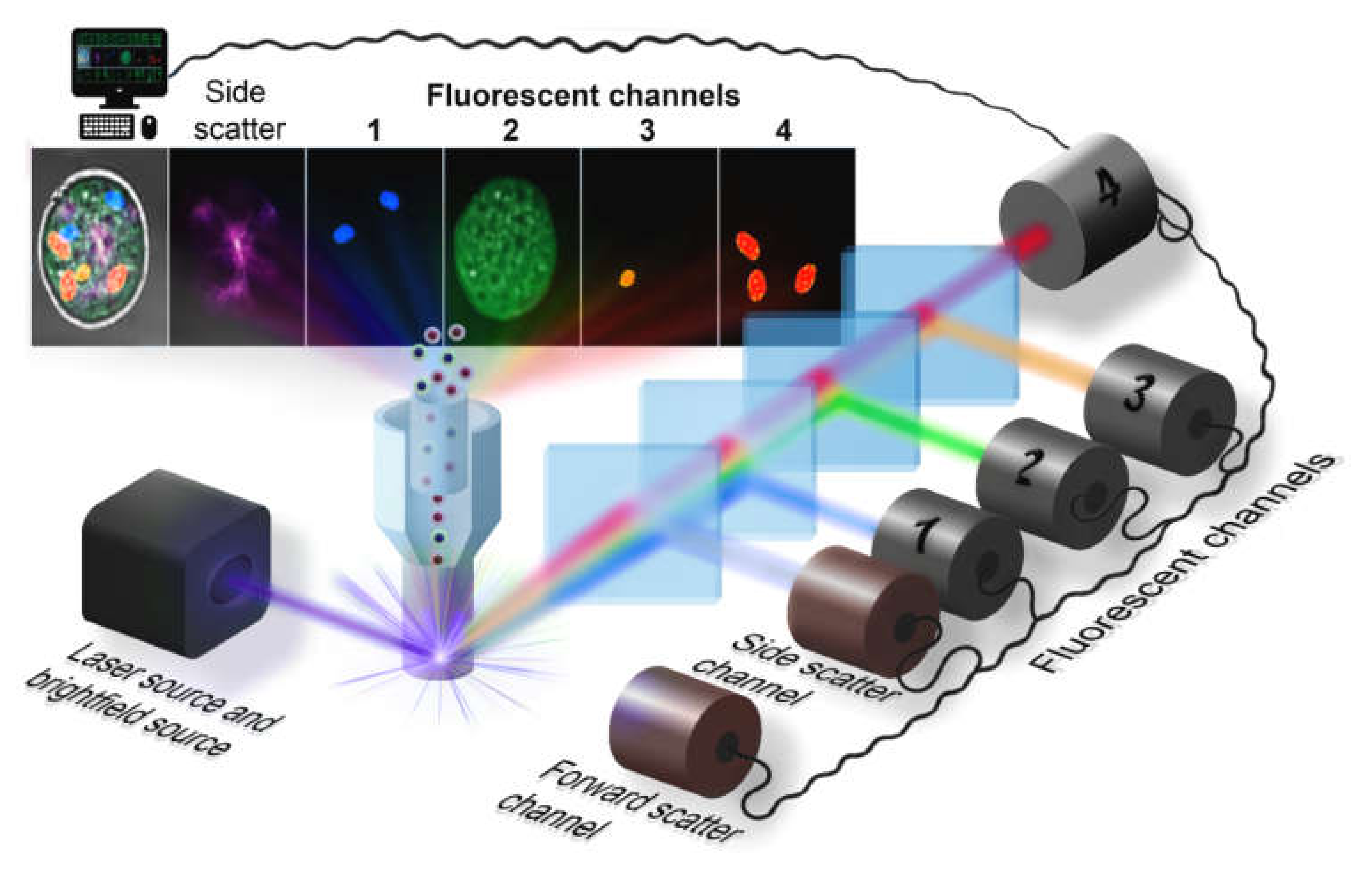 Frosted Glass sheets for N & HO - Signaling, Lighting & Animation