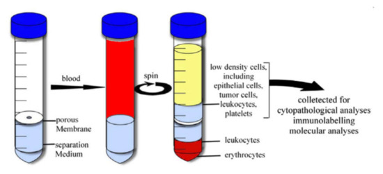 Ijms Free Full Text Detection Of Rare Objects By Flow Cytometry Imaging Cell Sorting And Deep Learning Approaches Html