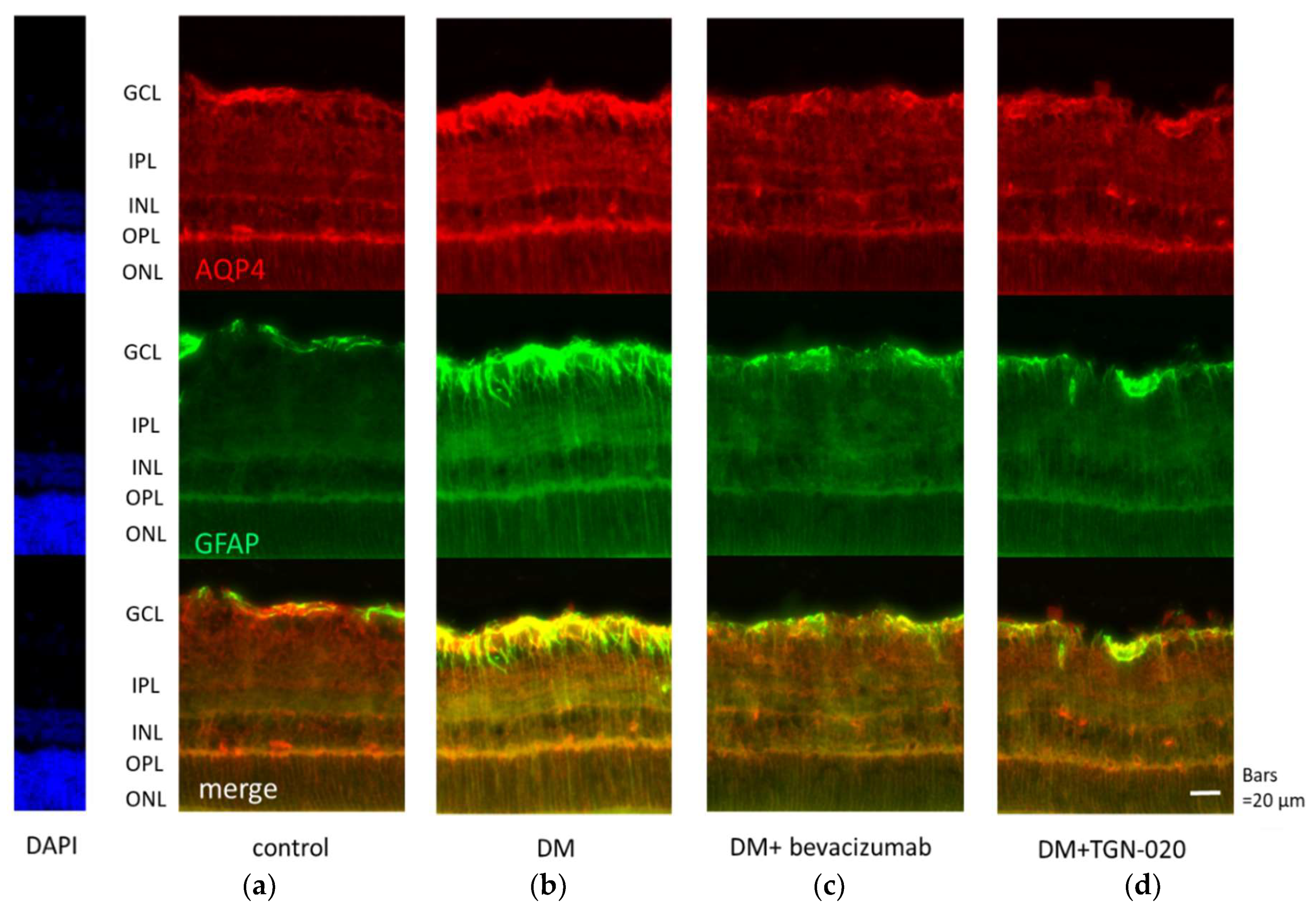 Ijms 21 02324 g002 Ijms 21 02324 g002