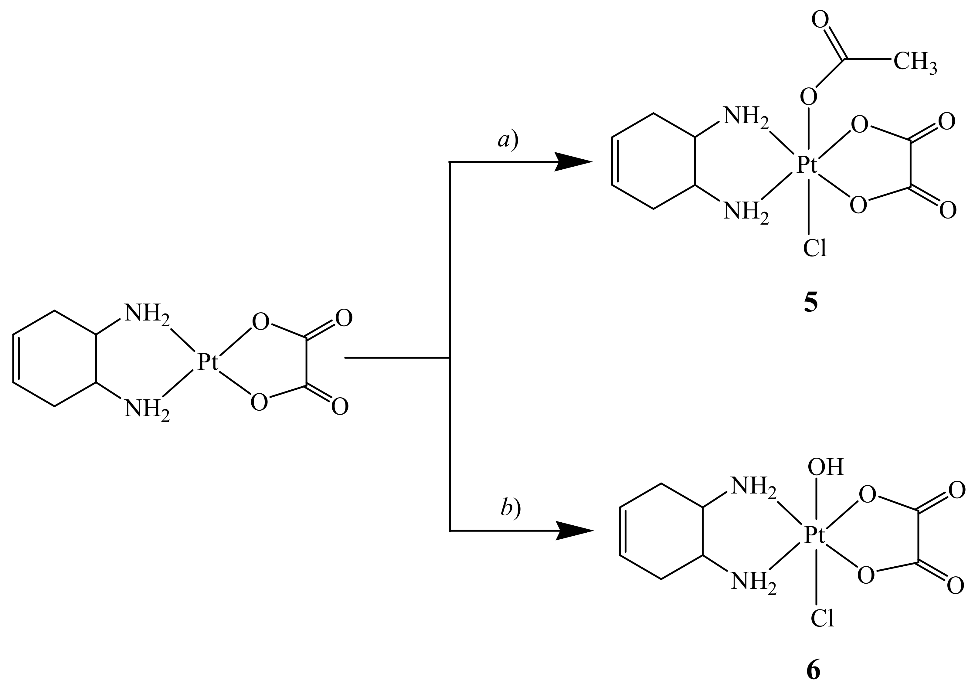 Ijms 21 02325 sch003