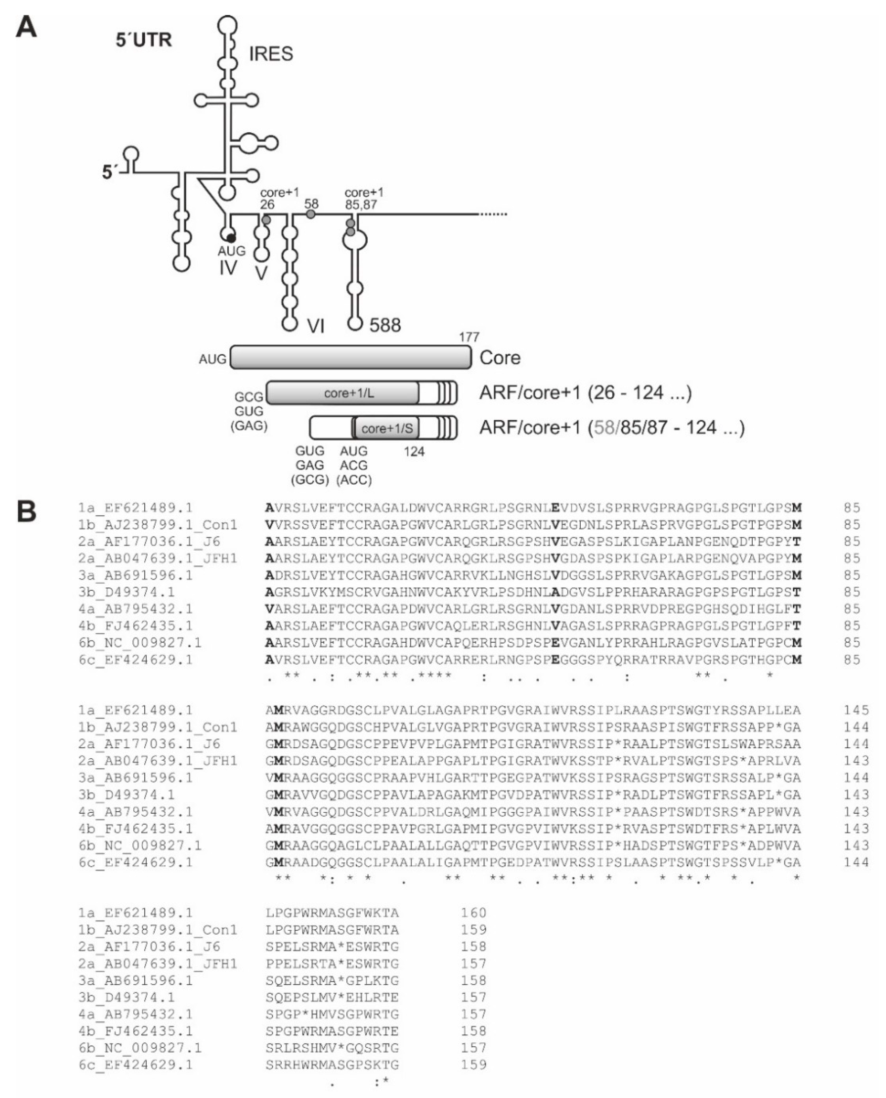 Ijms 21 02328 g008 Ijms 21 02328 g008