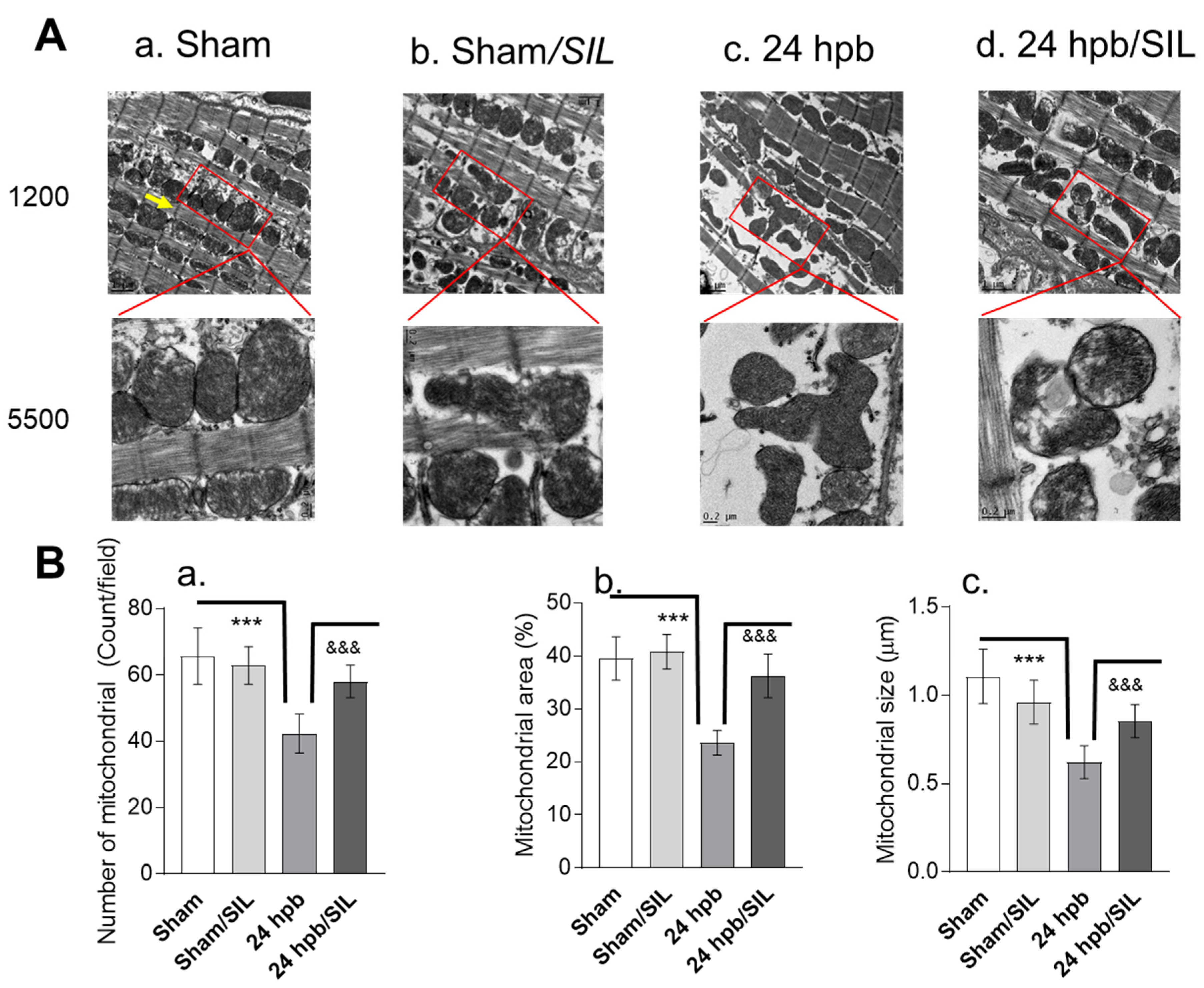 Ijms 21 02350 g001 Ijms 21 02350 g001