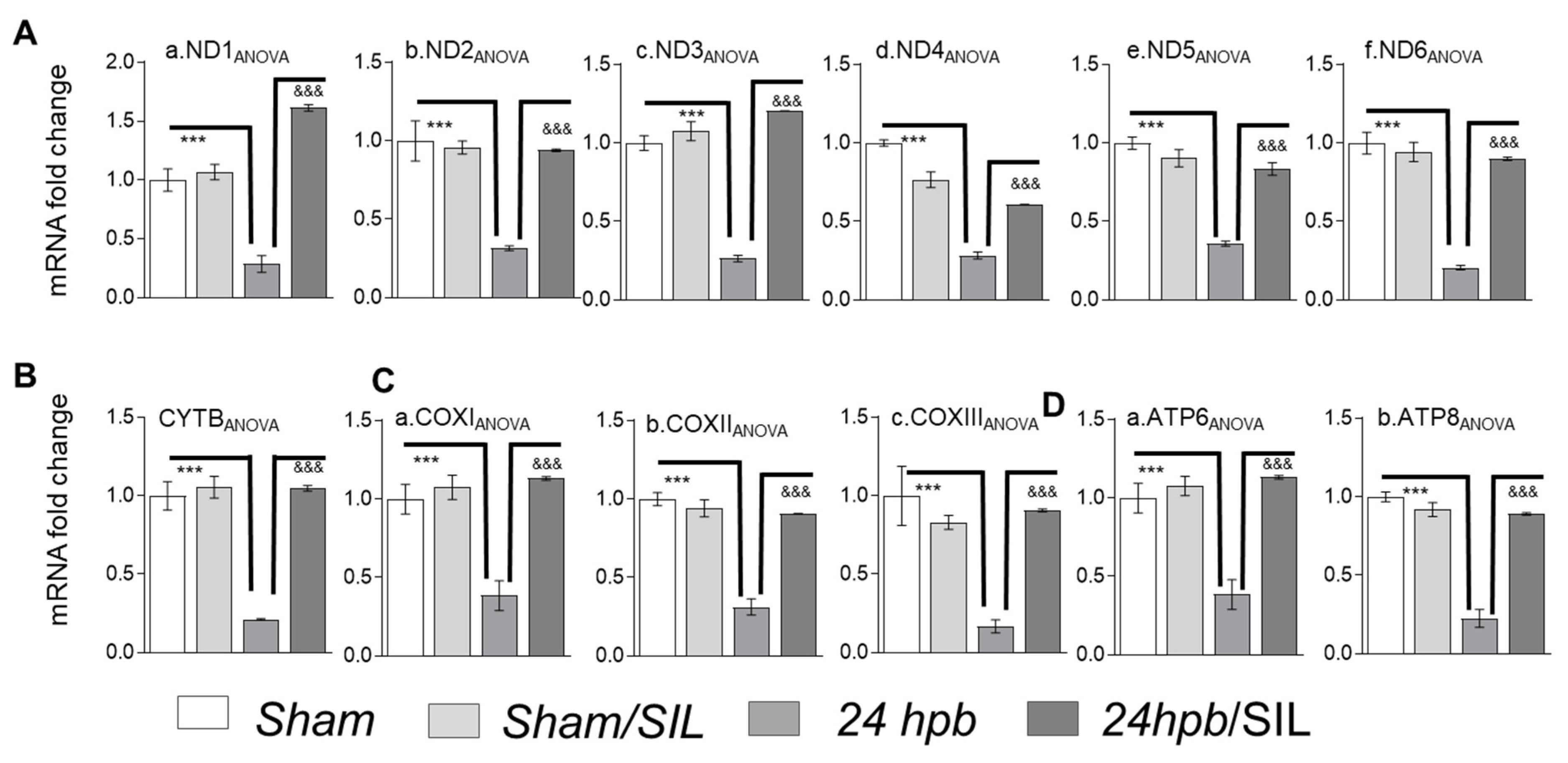 Ijms 21 02350 g003 Ijms 21 02350 g003