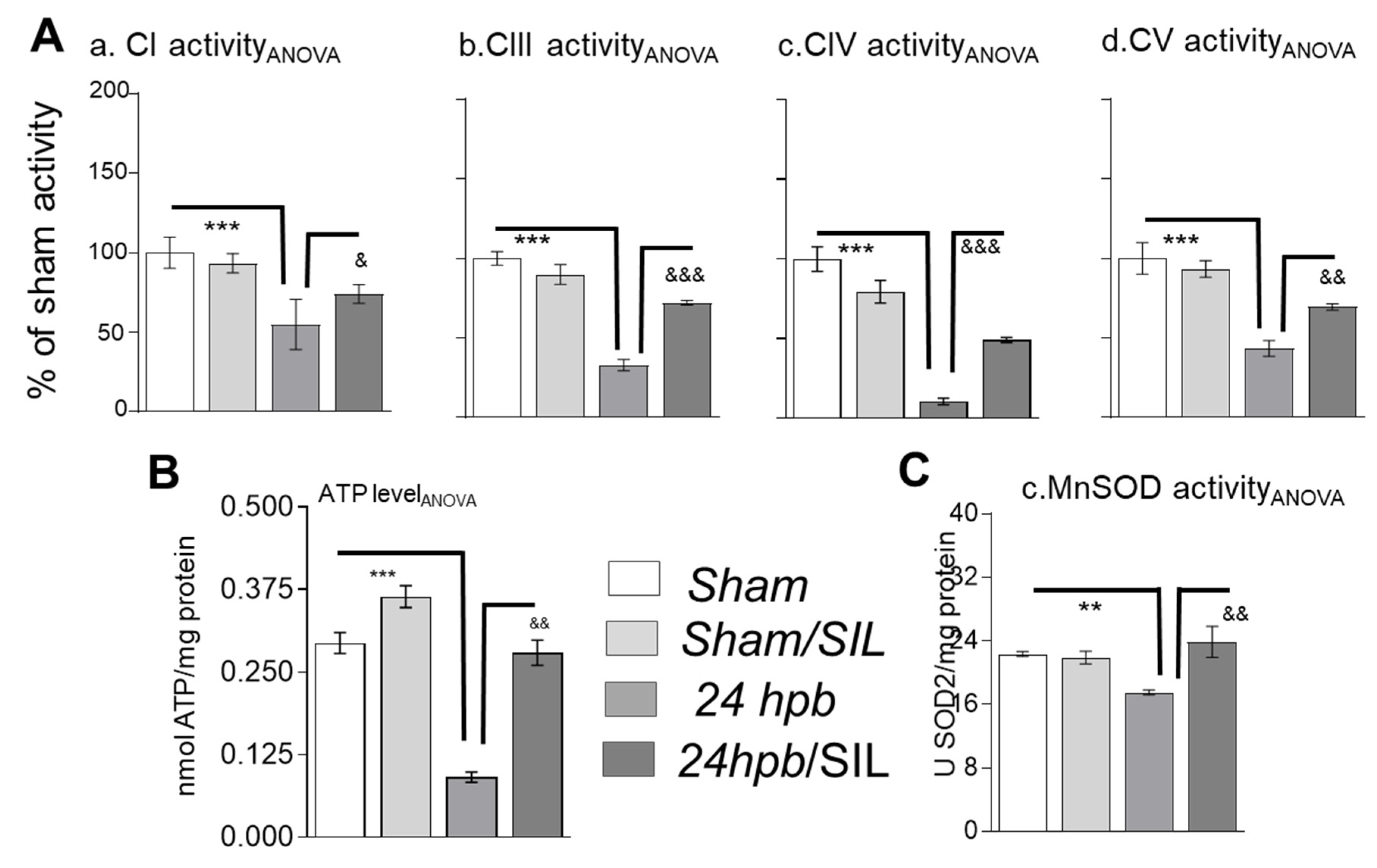 Ijms 21 02350 g005 Ijms 21 02350 g005