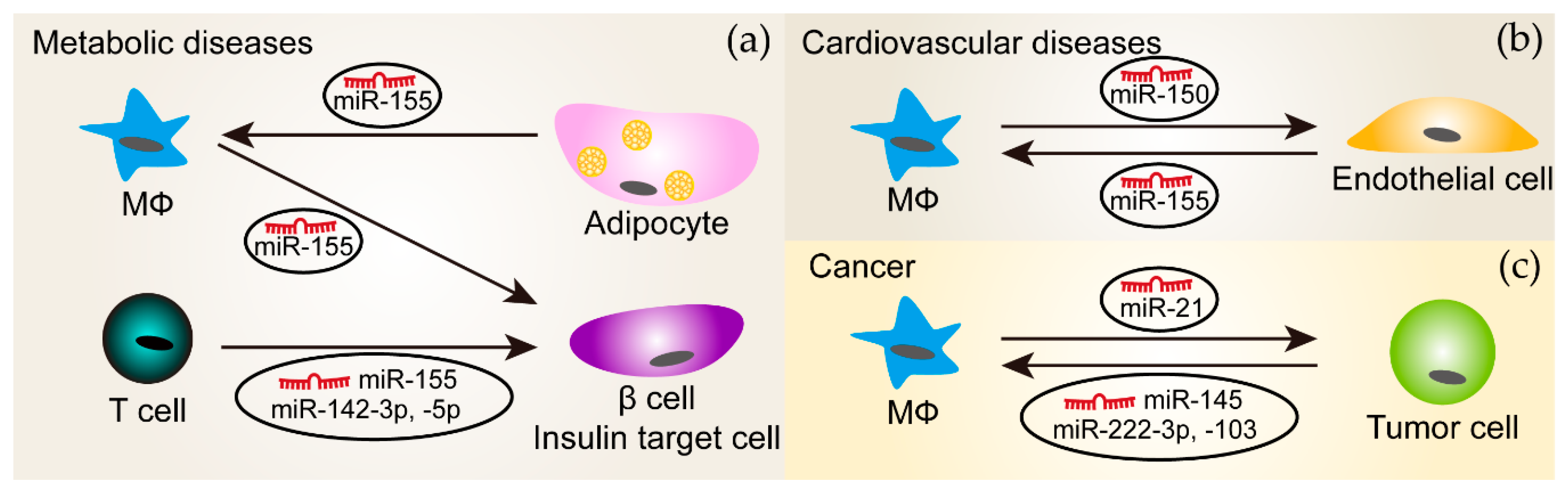 Ijms 21 02357 g002 Ijms 21 02357 g002