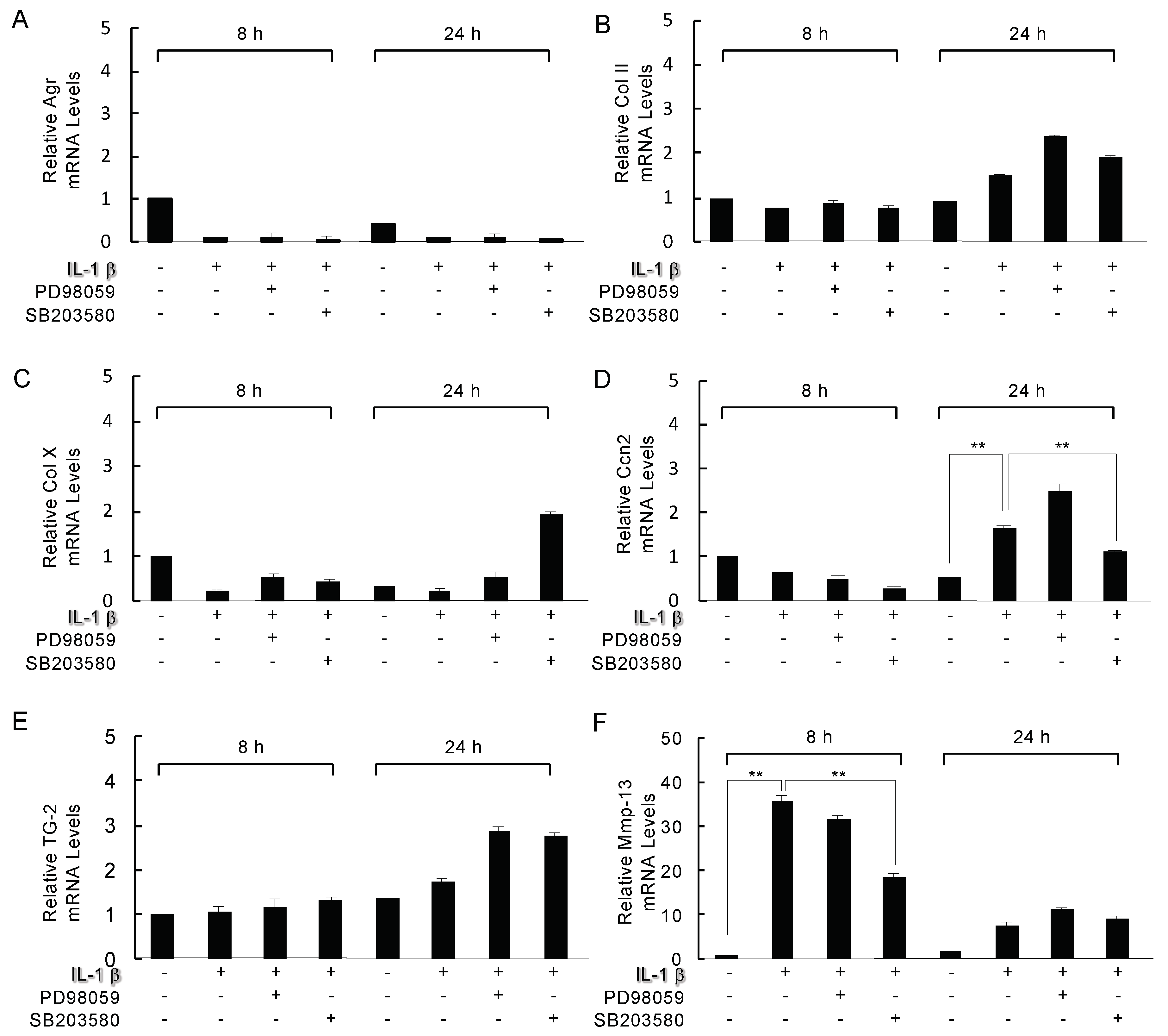 Ijms 21 02365 g005 Ijms 21 02365 g005