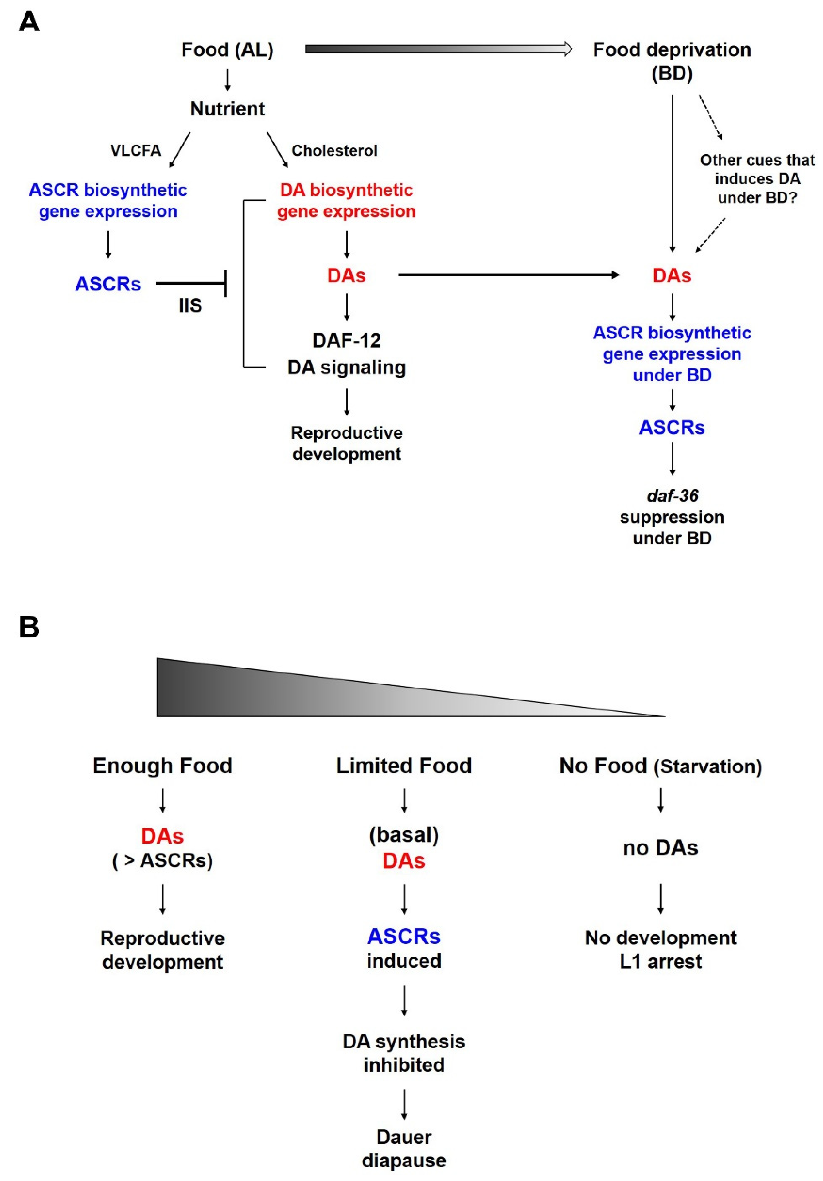 Ijms 21 02366 g003 Ijms 21 02366 g003