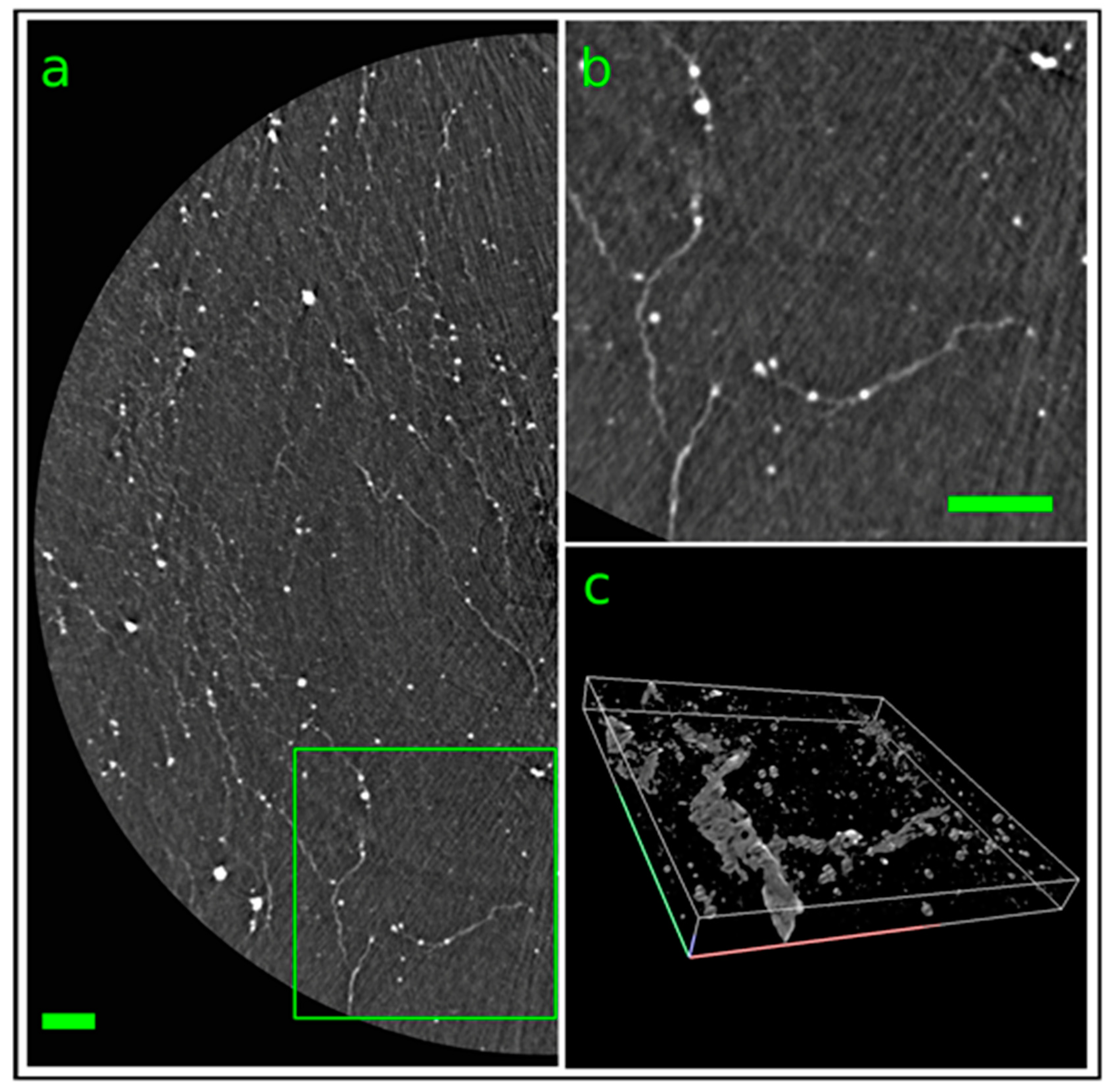 Ijms 21 02368 g005 Ijms 21 02368 g005