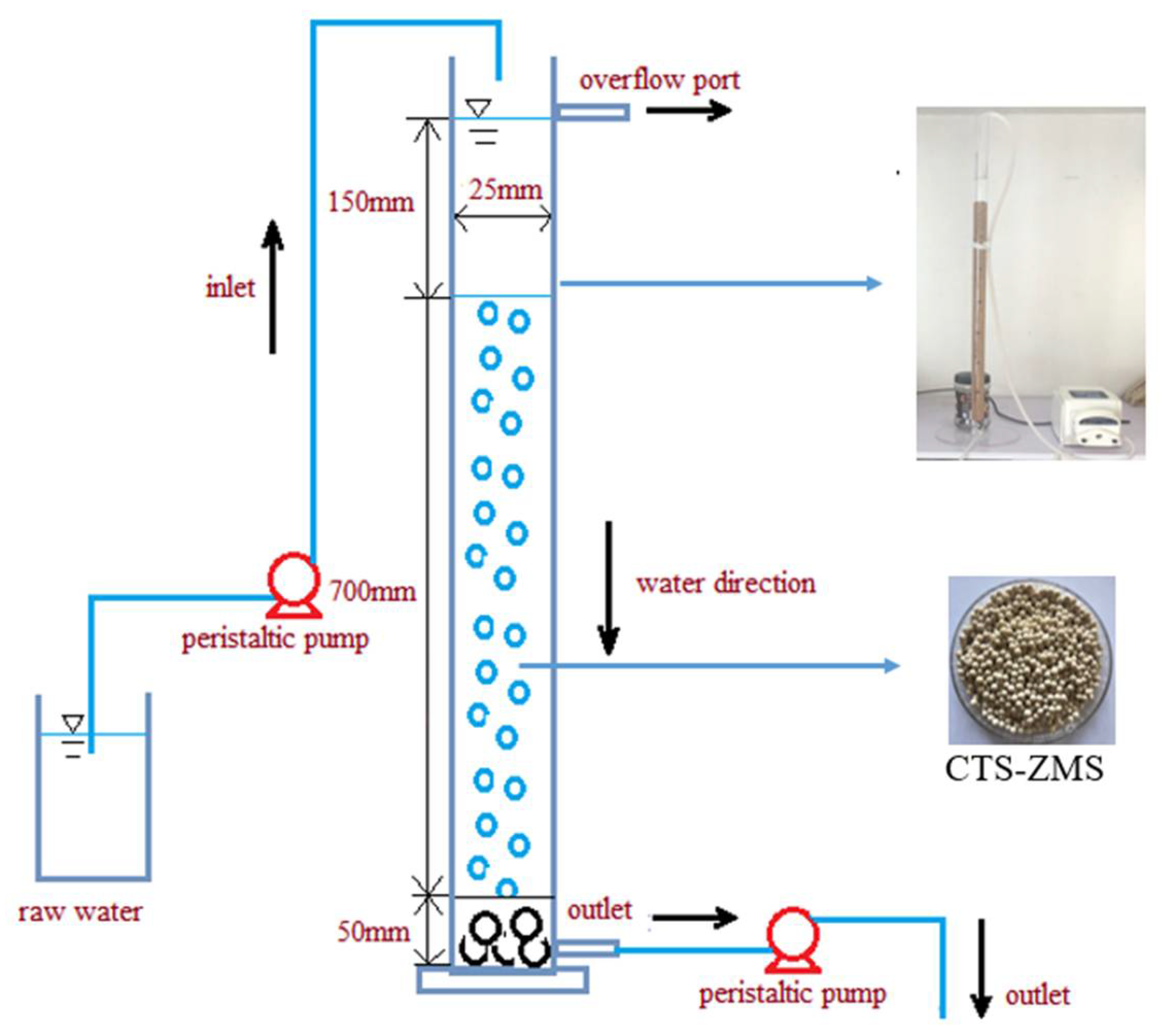 Ijms 21 02383 g001 Ijms 21 02383 g001