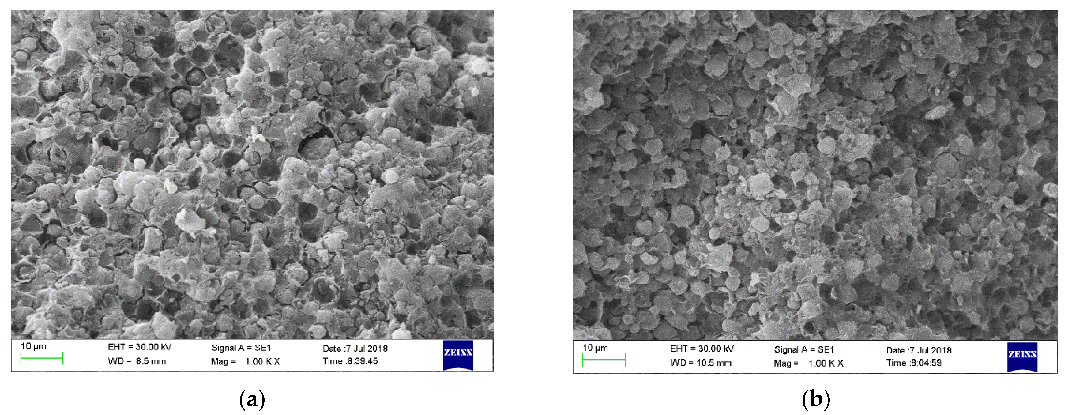 Ijms 21 02383 g004 Ijms 21 02383 g004