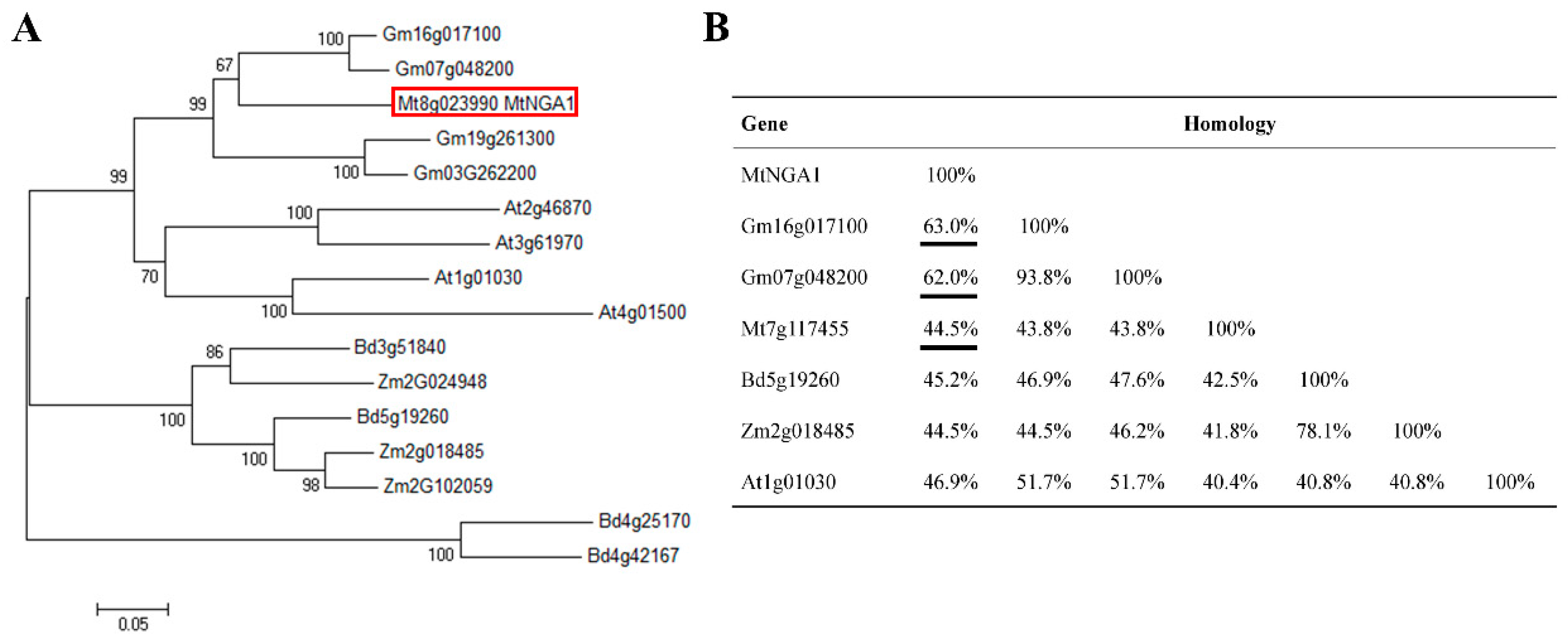 Ijms 21 02384 g001 Ijms 21 02384 g001