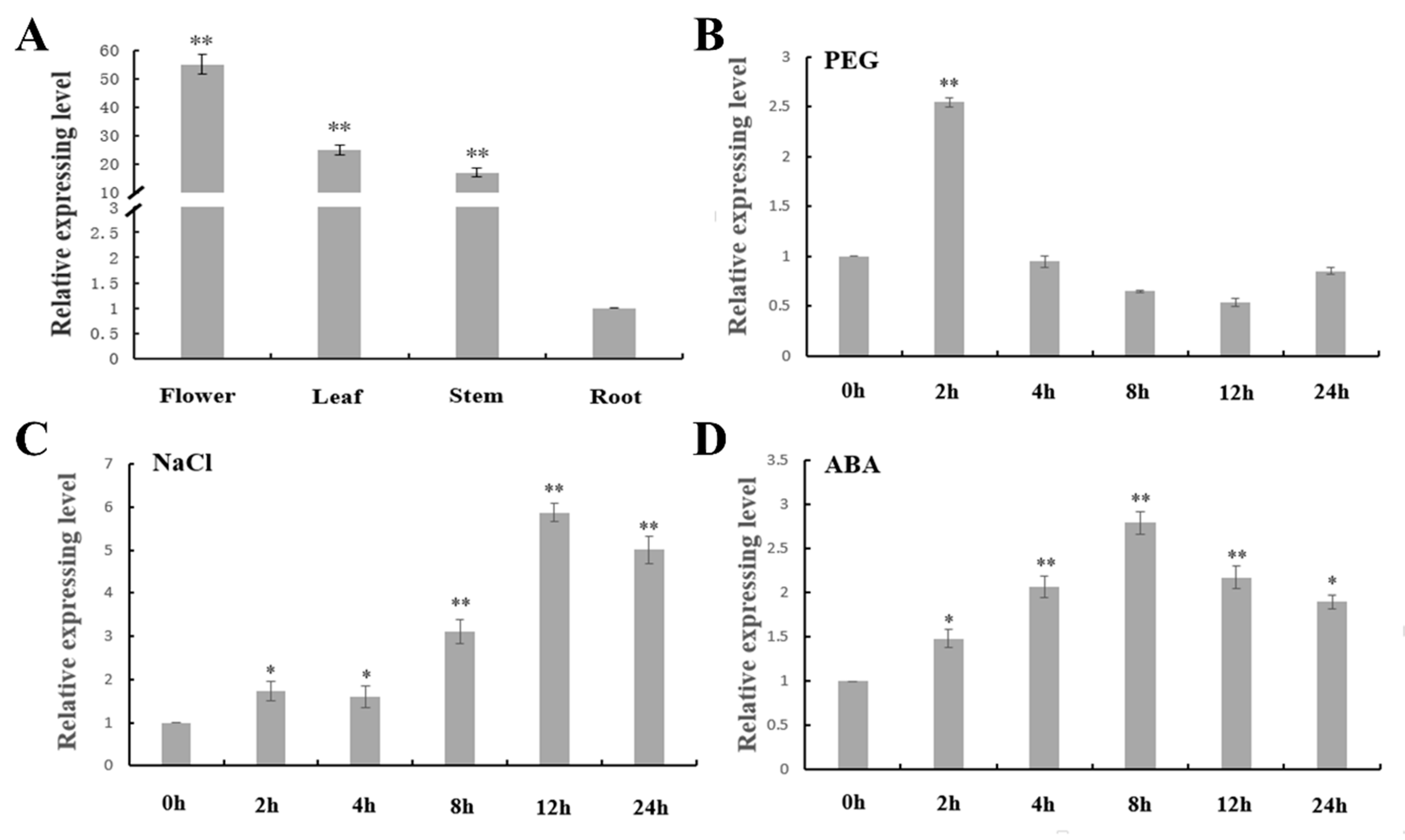 Ijms 21 02384 g004 Ijms 21 02384 g004