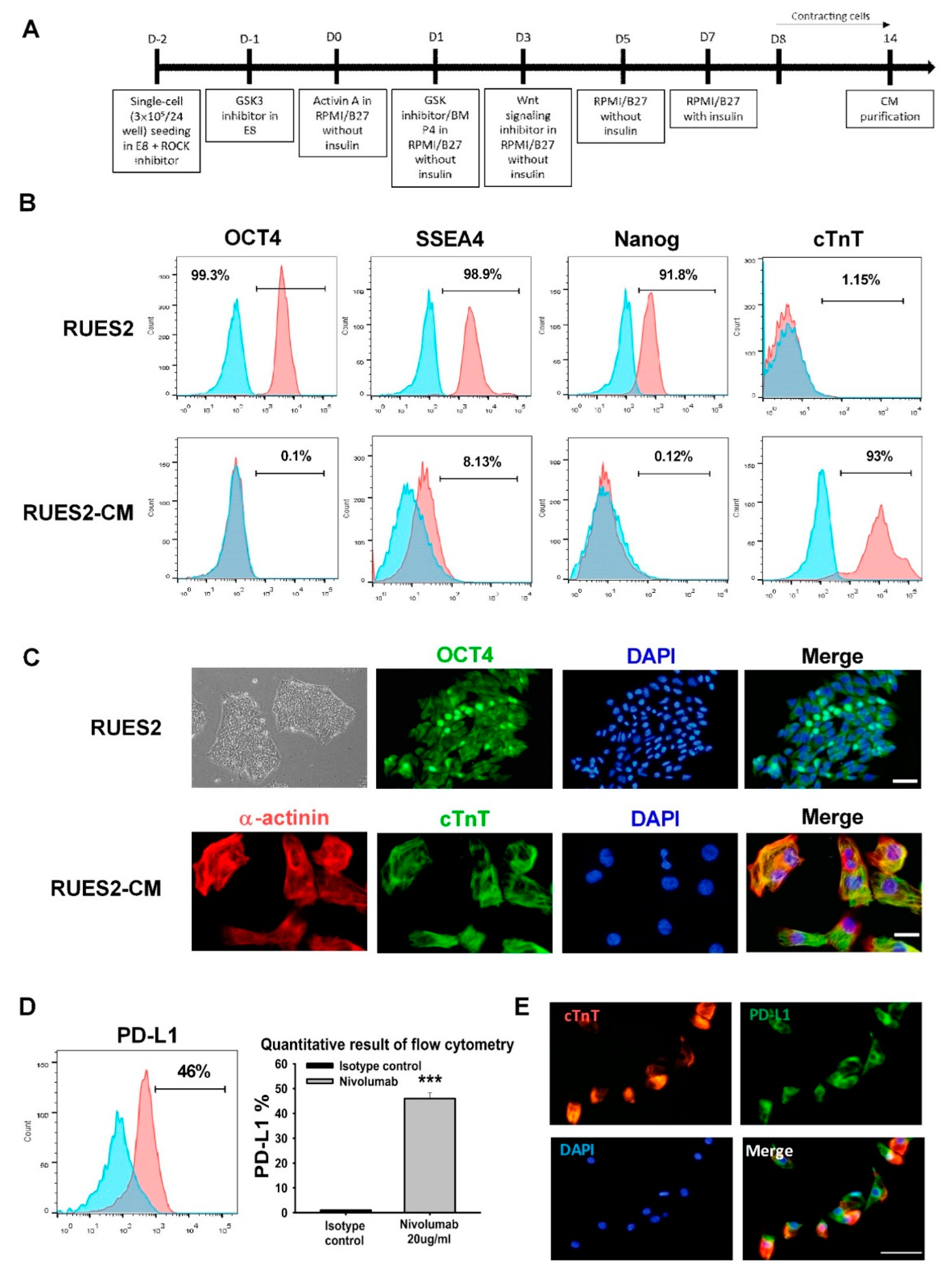 IJMS | Free Full-Text | Programmed Cell Death-1: Programmed Cell Death ...