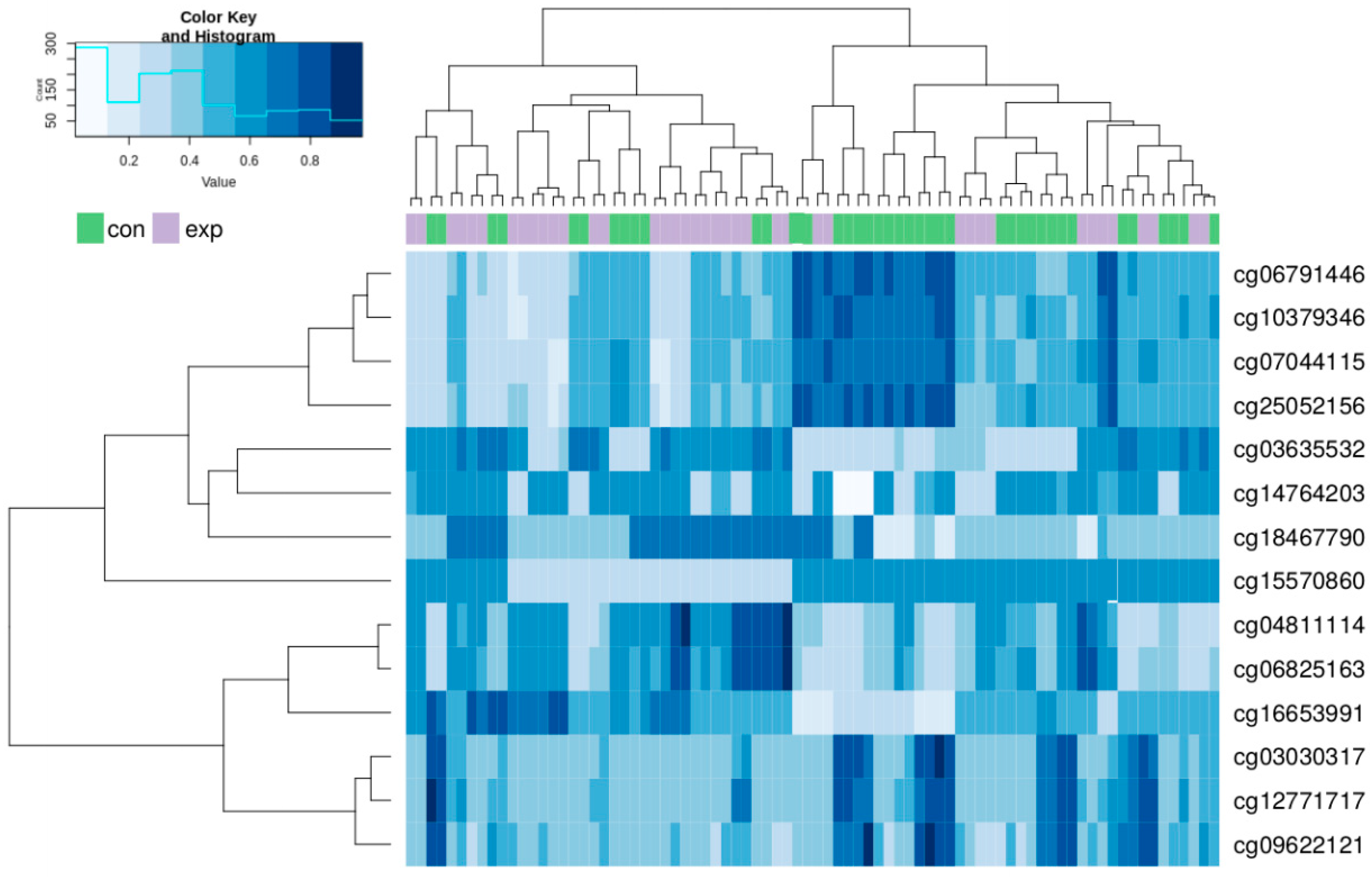 Ijms 21 02420 g004 Ijms 21 02420 g004