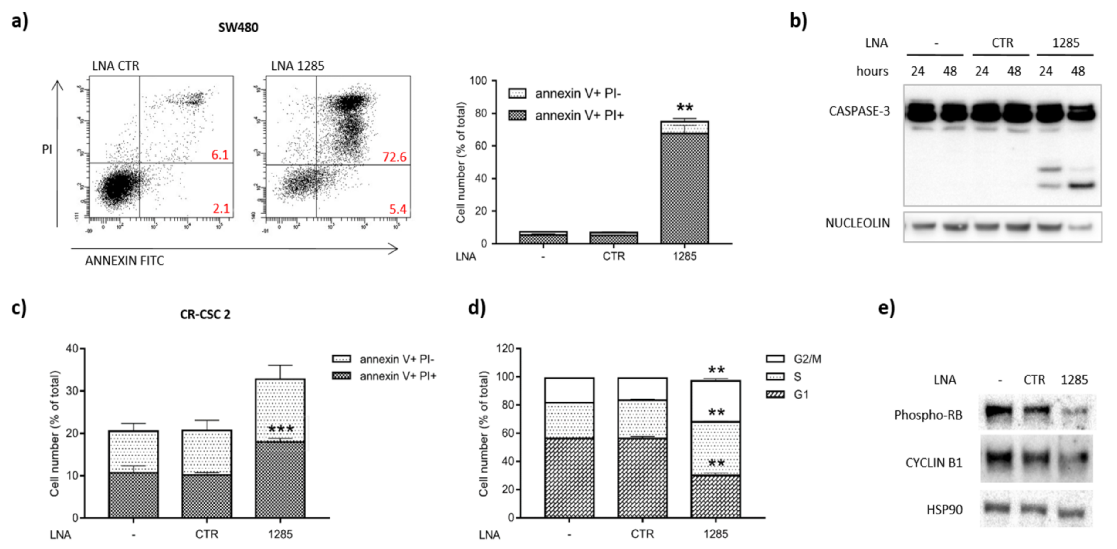 Ijms 21 02423 g002 Ijms 21 02423 g002