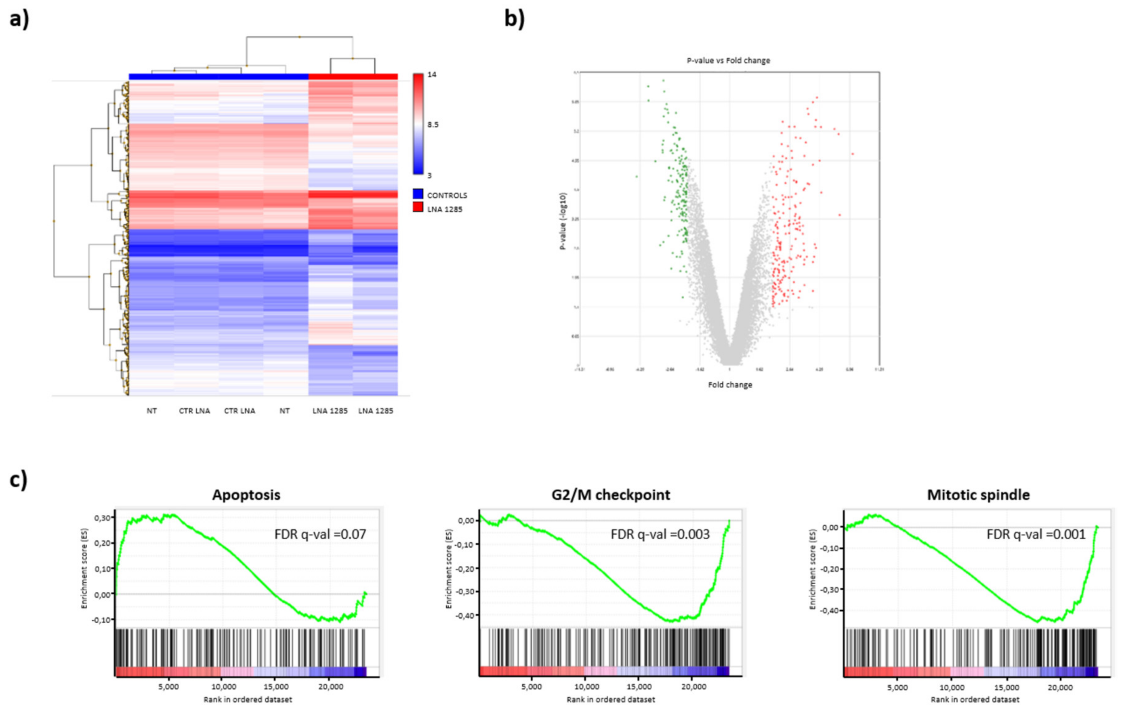 Ijms 21 02423 g004 Ijms 21 02423 g004