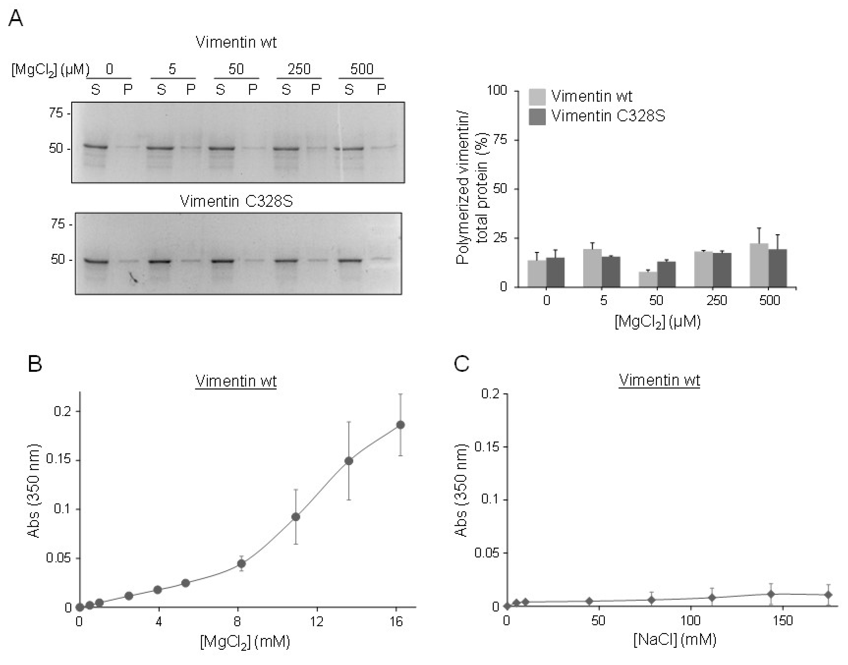 Ijms 21 02426 g003 Ijms 21 02426 g003
