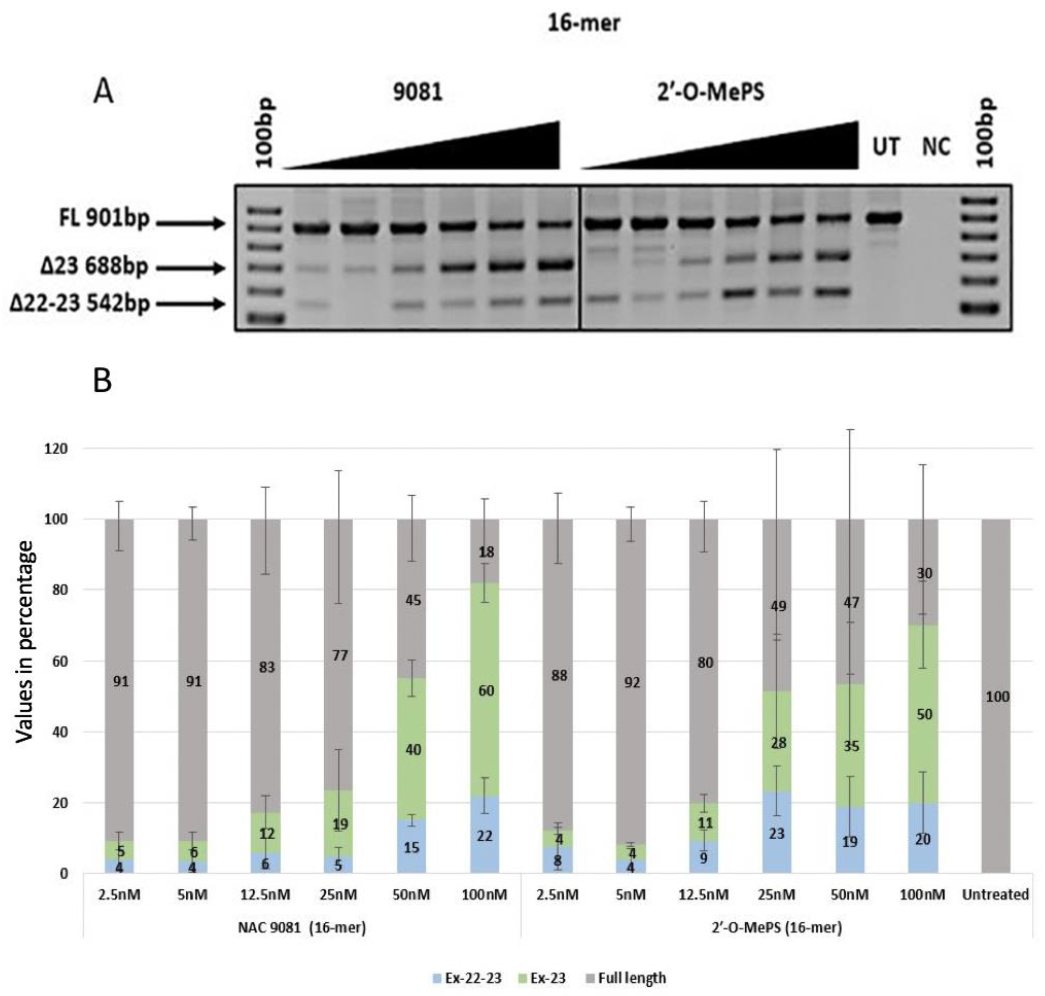 Ijms 21 02434 g005 Ijms 21 02434 g005