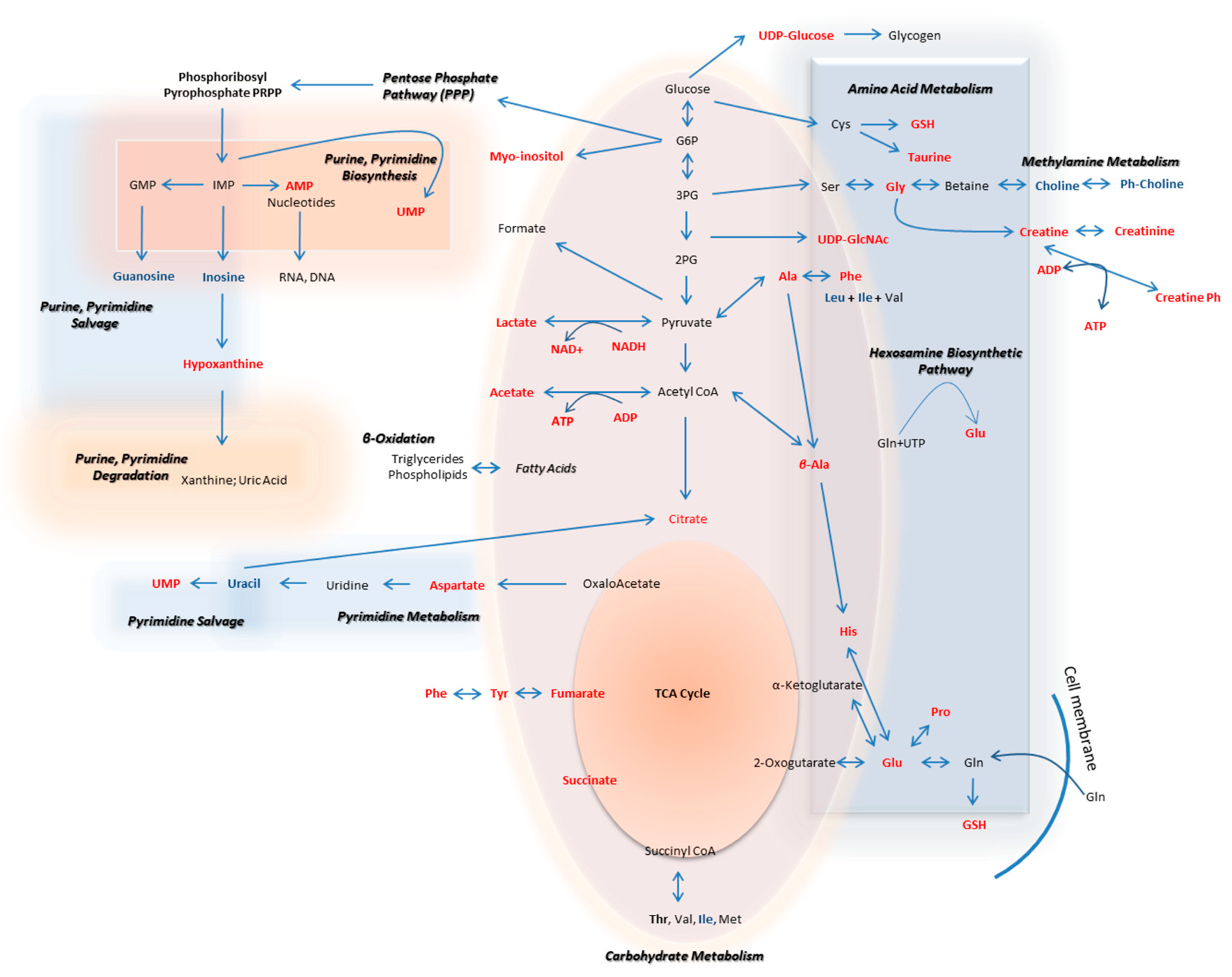 Ijms 21 02436 g012 Ijms 21 02436 g012