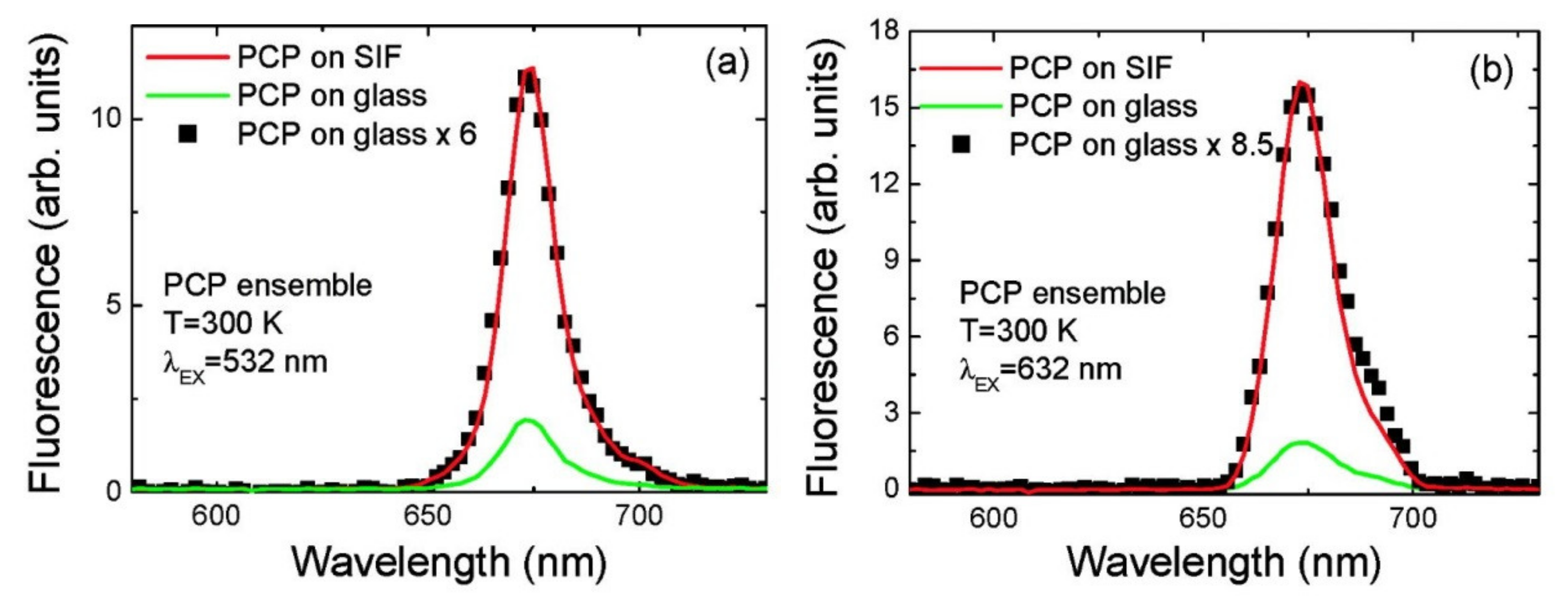 Ijms 21 02451 g004 Ijms 21 02451 g004